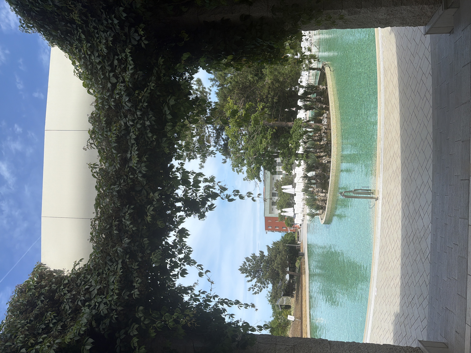 The image shows an outdoor swimming pool in Primorsko, Bulgaria. The pool is filled with clear turquoise water and features a decorative island with palm trees in the center. Around the pool, there are numerous white lounge chairs and umbrellas, suggesting a resort or hotel setting. The surrounding area is lush with greenery, including trees and ivy covering an architectural structure that frames the view. In the background, there are buildings and a clear blue sky with scattered clouds. A metal railing is visible in the pool, indicating an entry point. The ground around the pool is paved with light-colored tiles.