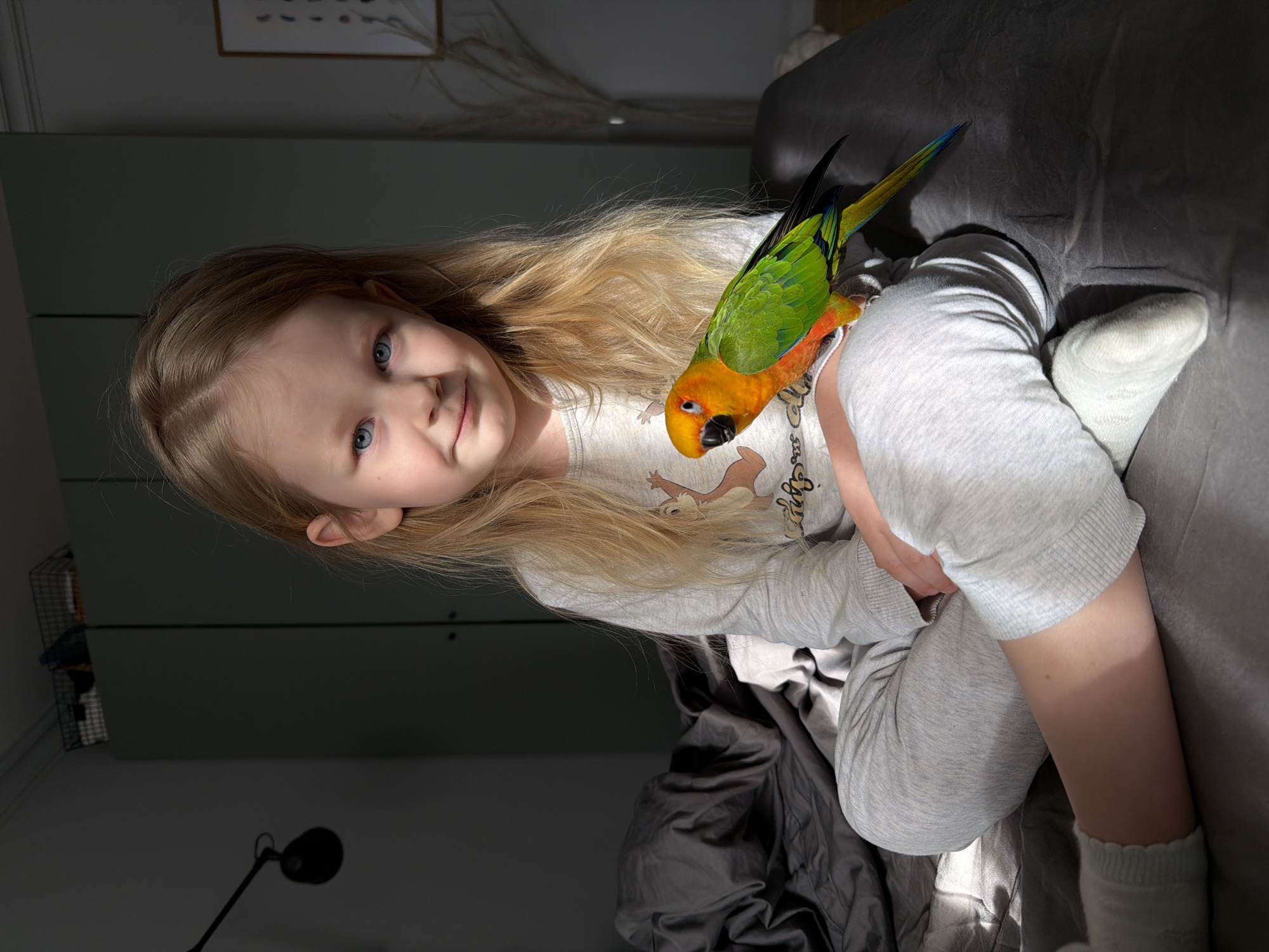 A fair-skinned, blond-haired child with blue eyes sits on a gray upholstered couch, with a Sun Conure parrot perched on their left arm. The child is wearing a light gray long-sleeved shirt and matching gray sweatpants and white socks. A portion of their left leg is visible, resting against the couch. The parrot has orange plumage on its head and chest, green wings, and blue accents on its tail feathers. The scene is illuminated by sunlight. In the background, there is a light green wall with a framed picture. A floor lamp is partially visible in the lower left corner. The setting is within a domestic indoor environment. No specific location of the city of Khimki, Russia, is discernible.