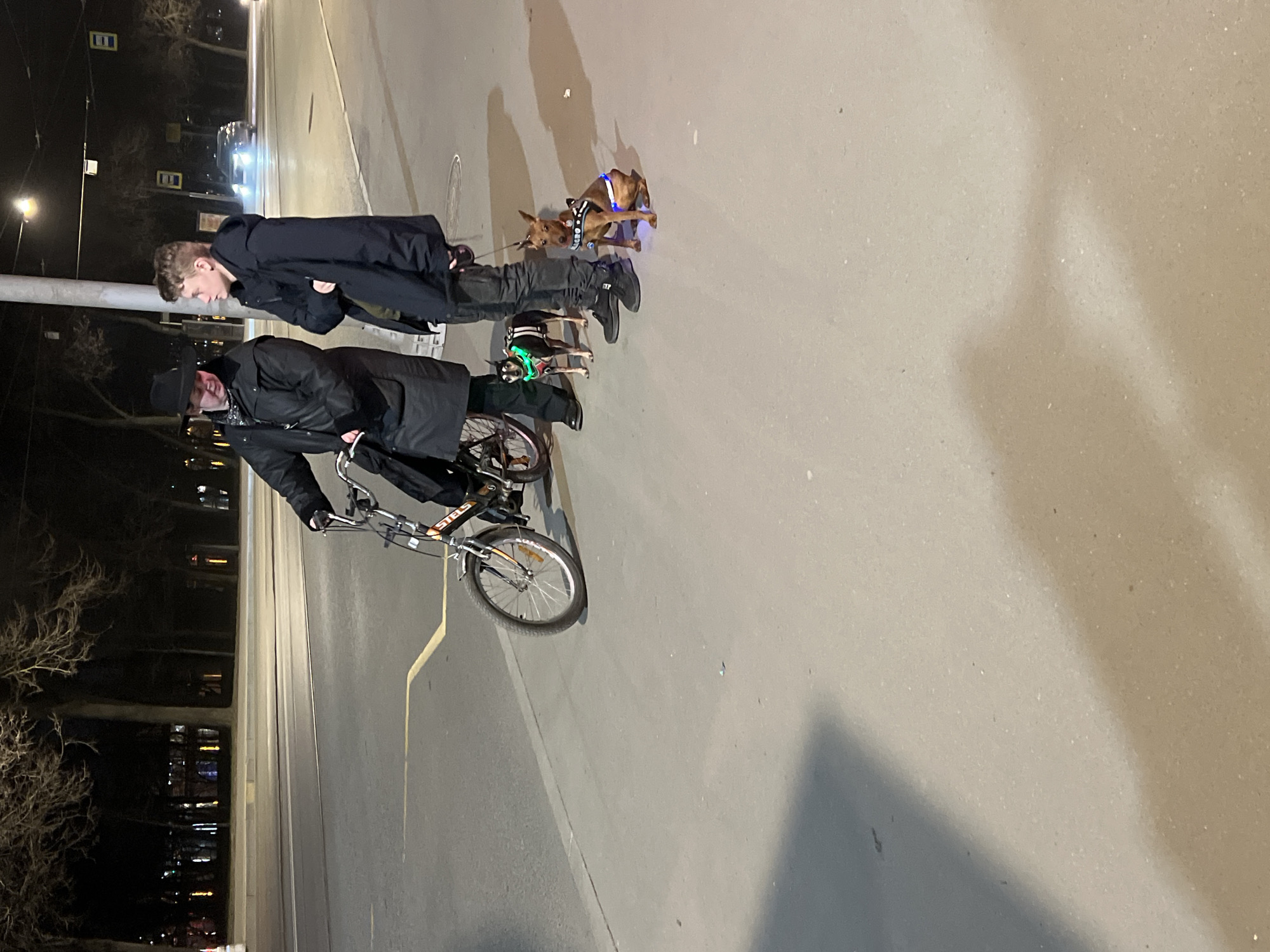 The image shows two men and two dogs on a sidewalk alongside a road in Saint Petersburg, Russia, at night.
One man is riding a bicycle and is wearing a black hat and a long black coat. The other man is walking alongside the bicycle, wearing a long black coat. Both men are wearing dark pants and shoes.
Two small dogs are leashed and walking next to the men. Both dogs have illuminated collars with blue and green lights, respectively.
The sidewalk is adjacent to a road with streetlights. Buildings with lit windows are visible in the background. Streetcar tracks are on the road. The lighting suggests it is nighttime.