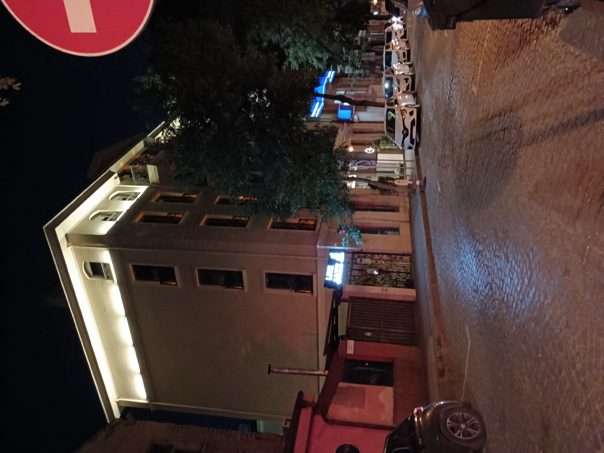 This is a nighttime, eye-level, medium shot of a street scene in Plovdiv, Bulgaria. The image is oriented vertically, with the street and buildings running from the upper right to the lower left.
The primary subjects are a multi-story building on the left and a street lined with parked cars on the right. The building is modern in design, with a light-colored facade and illuminated windows. There are trees in front of the building, casting shadows. The street is paved with cobblestones and is illuminated by streetlights and the lights from the buildings and cars.
Several white cars are parked in a row along the street. Some of the buildings have illuminated signs, including one with blue neon lights. A red and white traffic sign is visible in the upper left corner of the image.
The time of day is clearly night, indicated by the darkness of the sky and the artificial lighting. The weather appears to be clear, with no visible precipitation. The scene depicts a typical urban street at night, with commercial establishments and residences. There is no discernible activity or event taking place; it appears to be a static view of the street.
The most prominent visible text is on the blue neon sign, which is difficult to read due to its stylized font and the image quality, but it appears to be in Latin script. There is also some text on the red and white traffic sign, also difficult to decipher.
The overall mood is quiet and urban, characteristic of a city street after dark. The lighting creates a somewhat dramatic contrast between the brightly lit areas and the shadows.