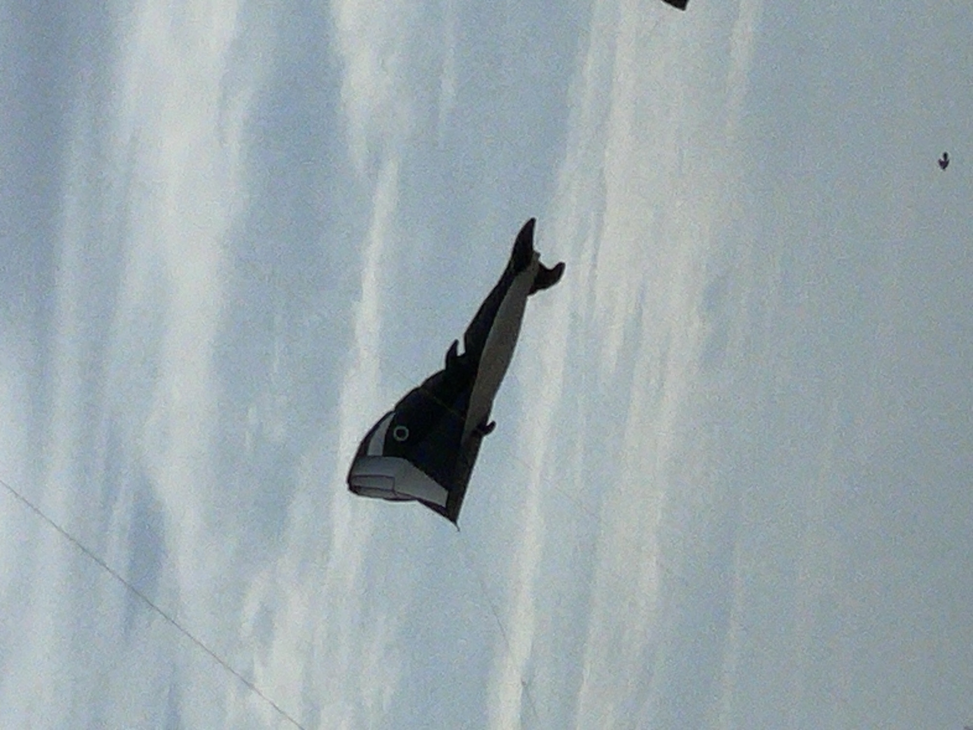 A black and white kite shaped like a dolphin is flying in a cloudy sky. The kite is long and slender, with a distinct head and tail. The sky is a pale blue with scattered white clouds. A thin kite string is visible diagonally across the upper left quadrant of the image. The location is not specified in the image or the crops.