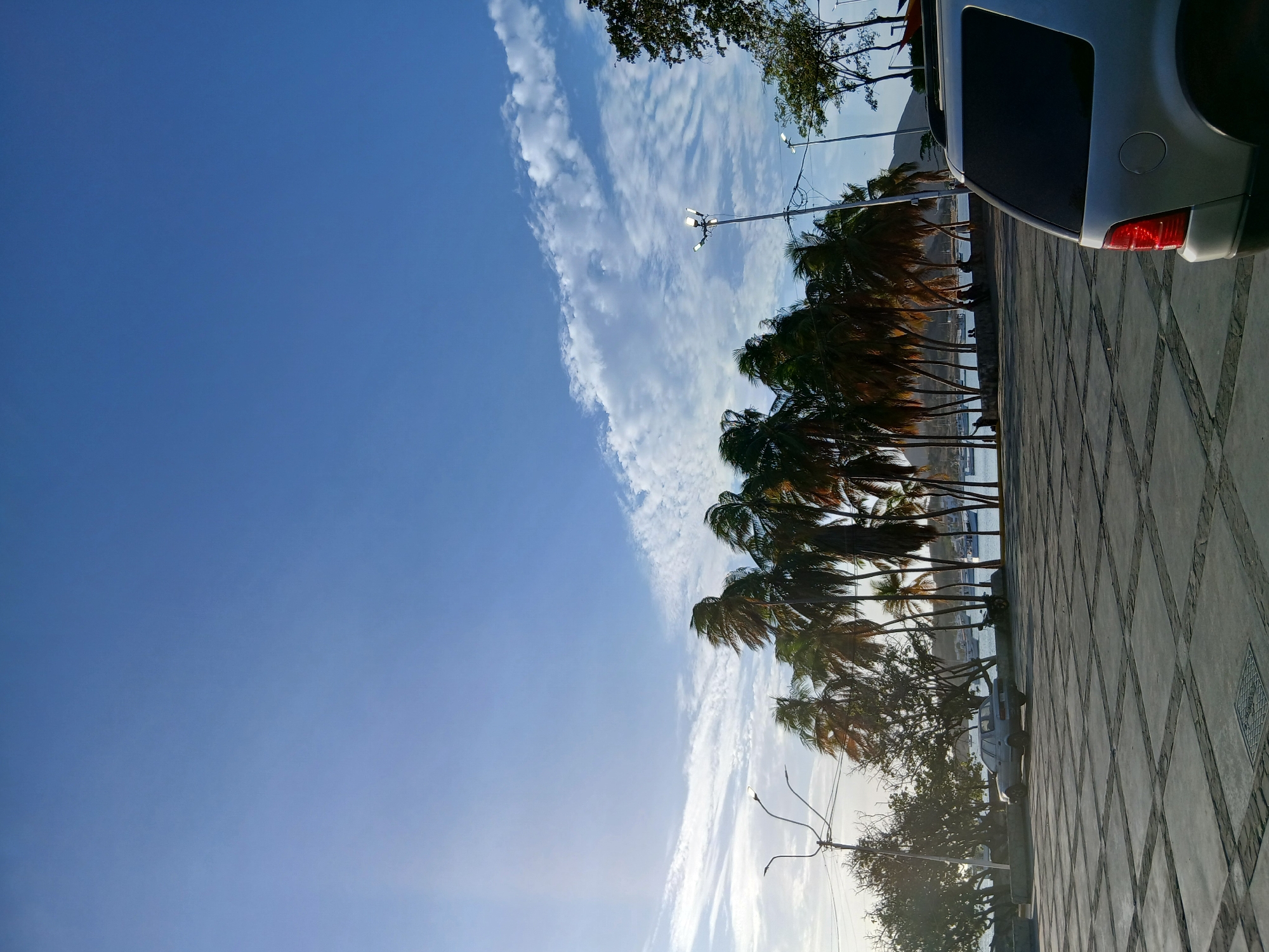 The image shows a view along a waterfront promenade in Juan Griego, Venezuela. Palm trees line the walkway, their fronds visible against a blue sky streaked with cirrus clouds. A portion of a silver-colored SUV is visible on the right. The walkway is paved with a patterned concrete surface. The horizon reveals a glimpse of the ocean and a distant landmass, possibly a small island or part of the coastline. Streetlights are interspersed among the trees. The scene conveys a sunny, possibly breezy day.