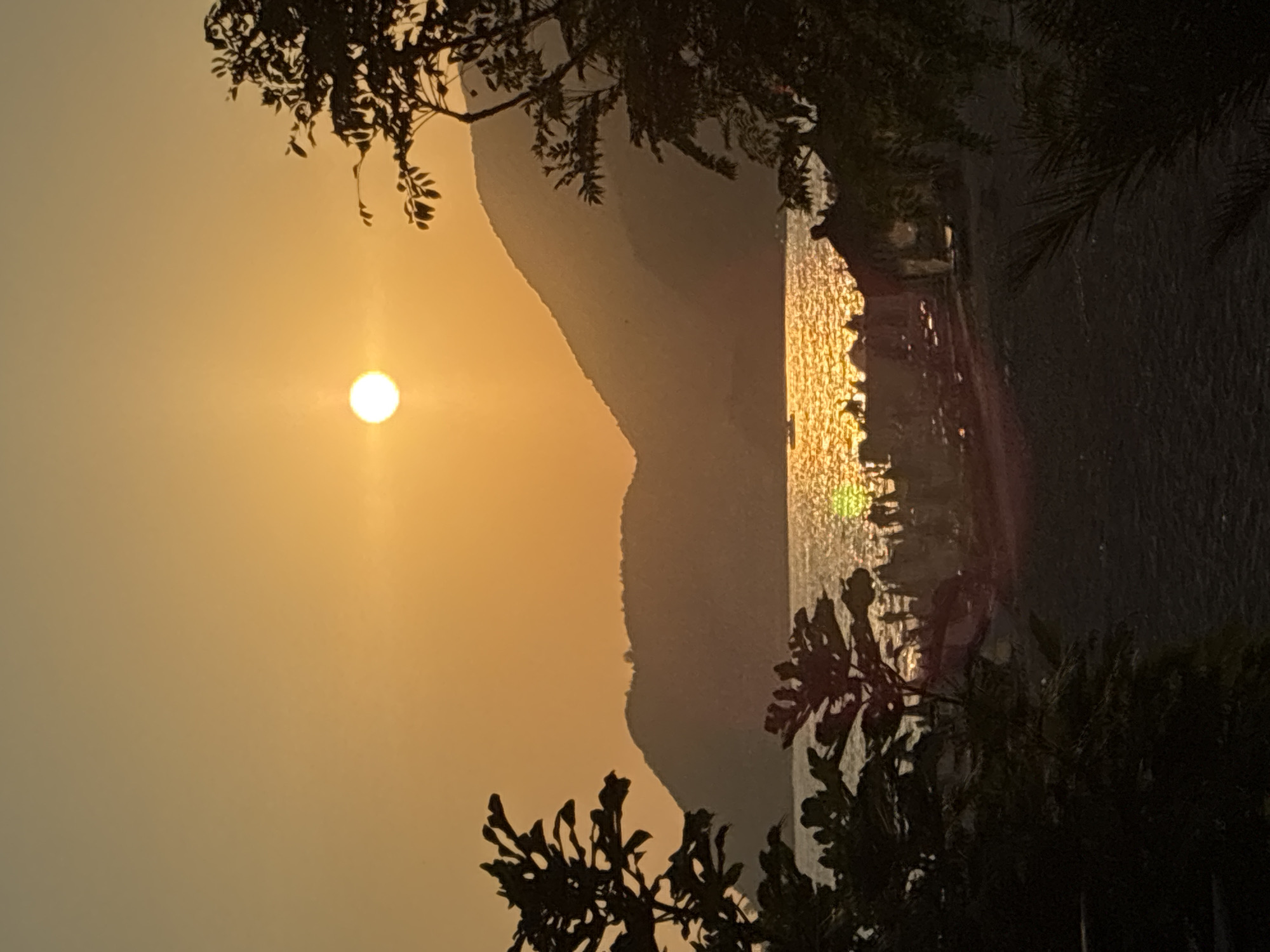 A serene sunset over the Mediterranean Sea, viewed from Alanya, Turkey. The sun, a bright orb, hangs in the hazy orange sky, casting a shimmering golden path across the water. Silhouetted against the sunset are the gentle slopes of coastal mountains and the dark, leafy branches of trees framing the foreground. In the distance, a small boat navigates the tranquil sea, while along the shoreline, scattered figures and beach structures suggest a quiet evening at a resort or beach. The overall atmosphere is one of peaceful natural beauty and a hint of human activity.