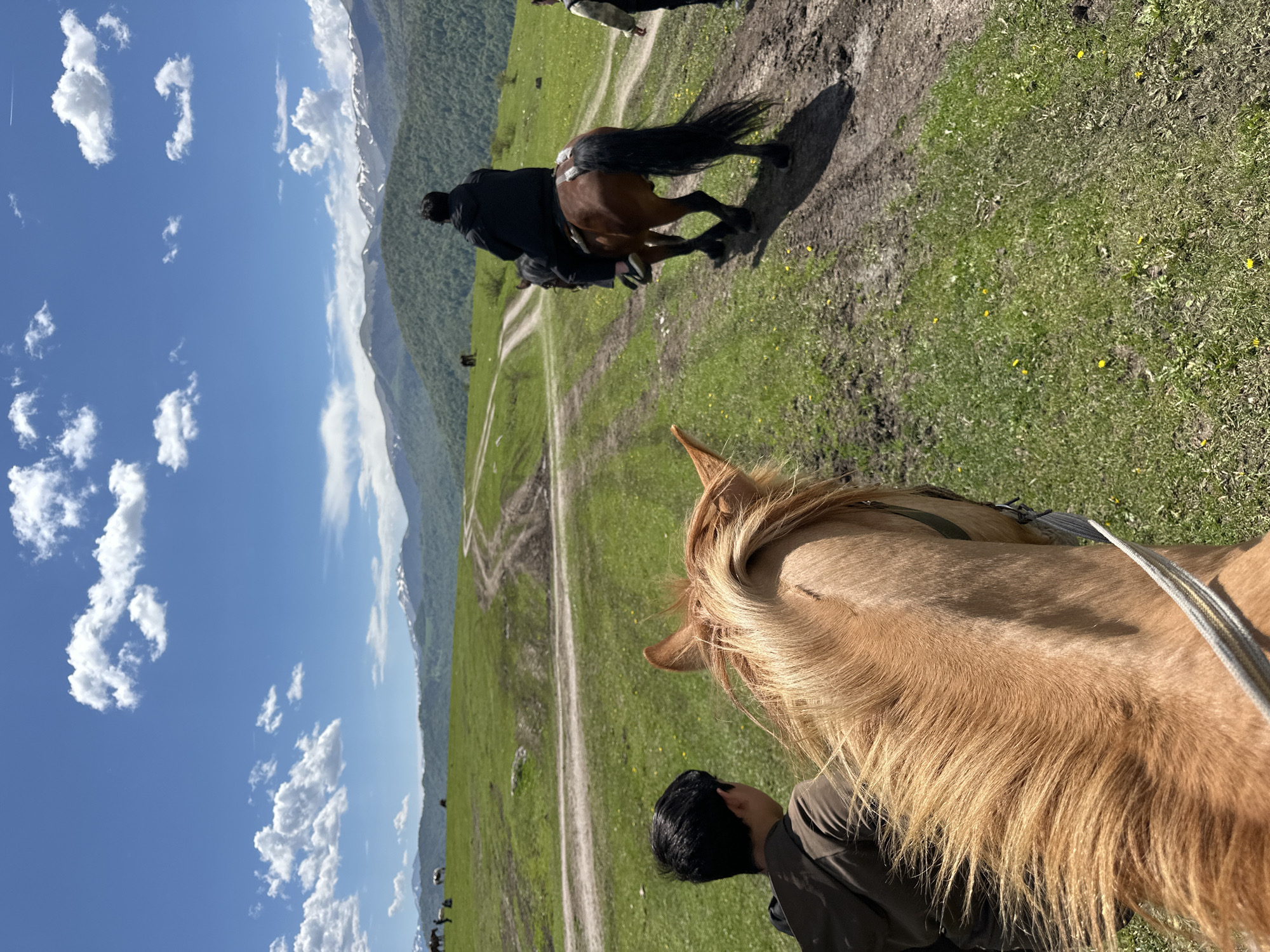 The image captures a scene in a mountainous region, likely near Teghut, Armenia. Two individuals are riding horses through a grassy meadow. One individual is visible from the back, seated on a brown horse with a black tail, headed away from the viewer. The other individual is in the foreground, riding a light brown horse facing the viewer. Behind them, a series of dirt paths crisscross the landscape. In the background, mountains rise, some with visible patches of snow. The sky is blue with scattered white clouds. The terrain is a mix of green grass and dirt paths, indicating an open, rural environment.