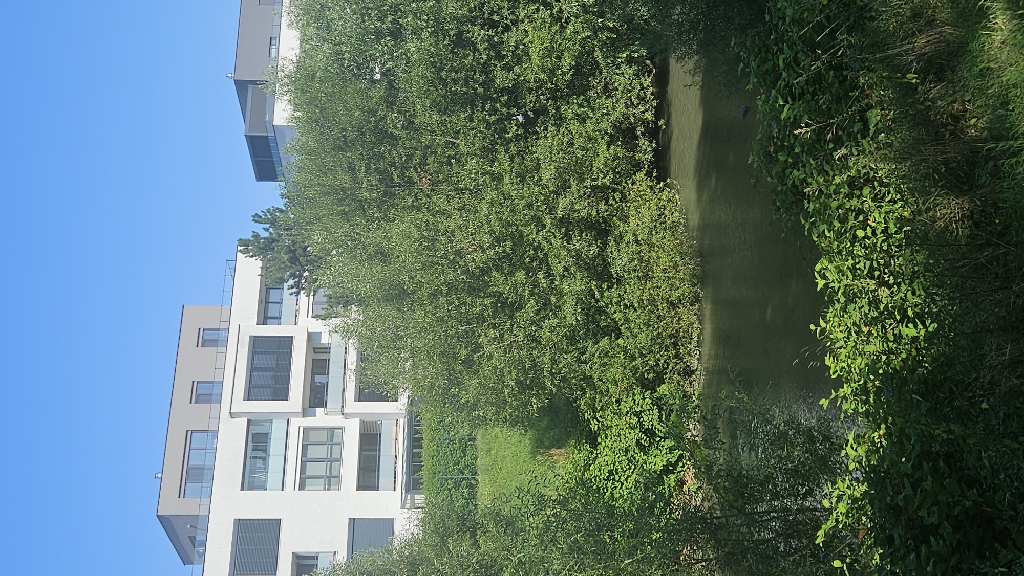 The image shows a bright, sunny day in Prešov, Slovakia, with a clear blue sky. In the background, modern multi-story buildings with white facades and dark gray roofs are visible. The buildings feature numerous windows and balconies. In the foreground, lush green trees and bushes dominate the scene, obscuring a body of water. The water is a dark, murky green, reflecting the surrounding foliage. A small bird is perched on a branch of a tree. The overall impression is one of a well-maintained urban green space adjacent to contemporary architecture.