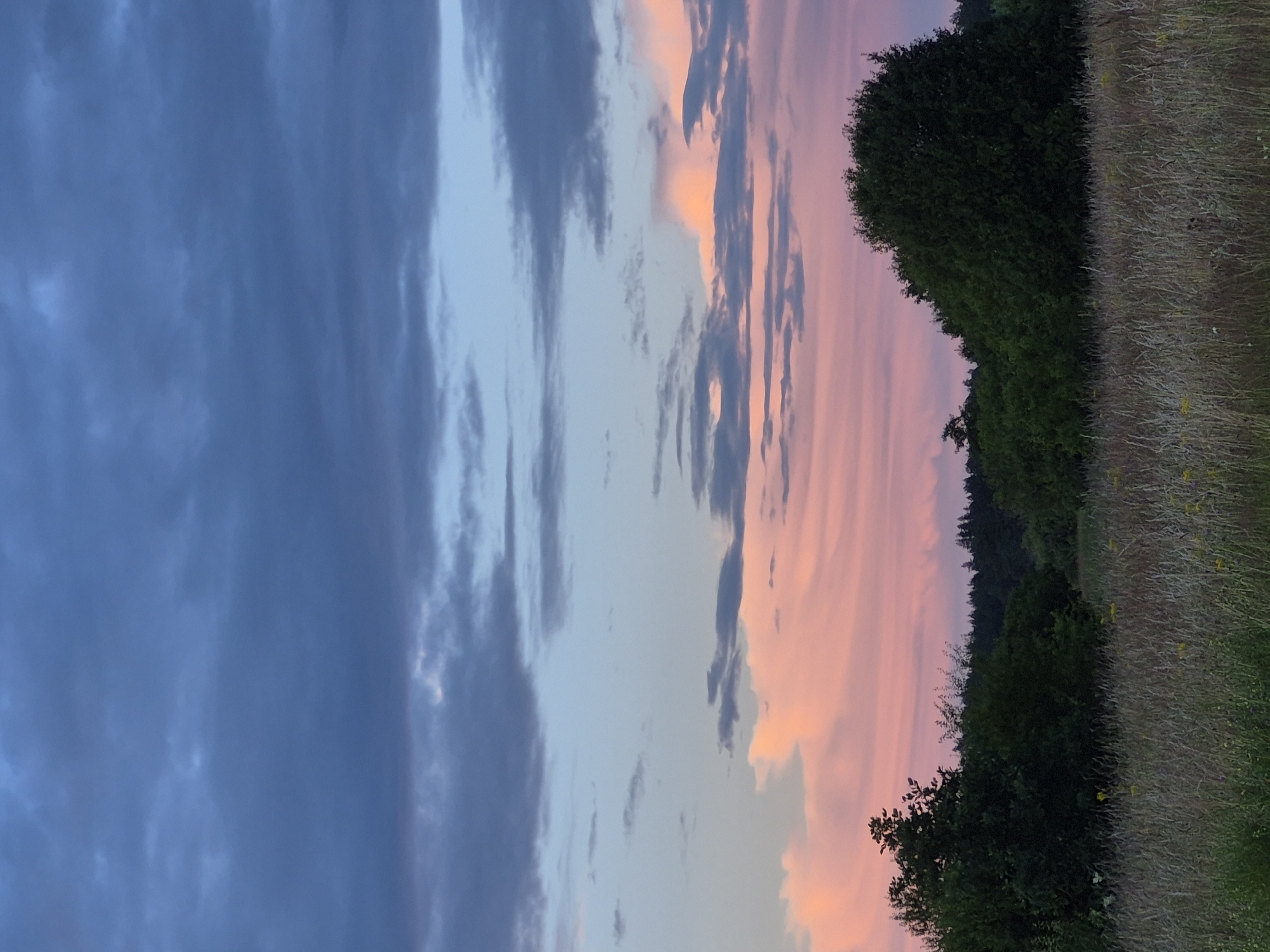 The image depicts a natural landscape at dusk, likely in or near Sooblase, Estonia. The sky is filled with dramatic clouds, transitioning from dark blues at the top to lighter blues, pinks, and oranges closer to the horizon. These colors suggest the sun has recently set or is about to rise. Below the sky is a dense line of dark green trees, forming a forest or a treeline. In the foreground, there is a field of tall, dry grass, interspersed with some scattered yellow wildflowers. The overall impression is of a serene, rural setting bathed in the soft light of twilight. There are no people or man-made structures visible in the image.