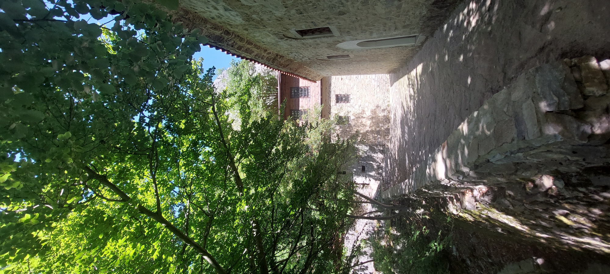 The image depicts the courtyard of Bachkovo Monastery in Bulgaria. The perspective is unusual, tilted upwards, creating a distorted view. On the left, lush green trees fill much of the frame, obscuring the sky. The walls of the monastery, constructed of light-colored stone, frame a narrow passageway. Shadows cast by the trees and the monastery walls create a play of light and dark on the stonework. A three-story building with small, barred windows can be seen at the end of the passage, partly obscured by trees. The overall impression is that of a peaceful, sheltered space within the monastery complex.