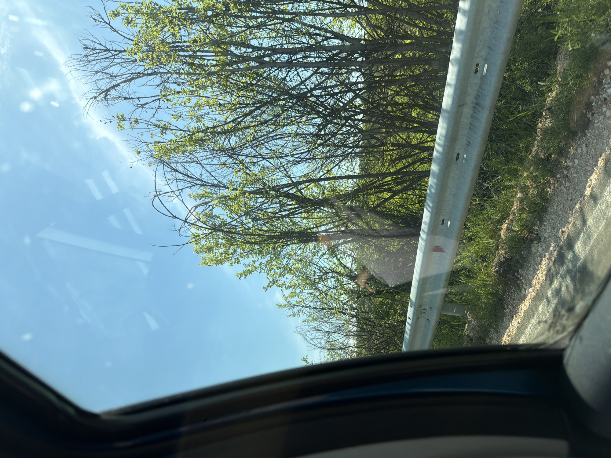 The image shows a view from inside a vehicle, looking out and upward. The vehicle's roof and frame are partially visible. Through the windshield/sunroof, a scene of a road with a metal guardrail is visible. Beyond the guardrail, there are trees with budding leaves and a clear blue sky. The location is possibly near Belovitsa, Bulgaria.