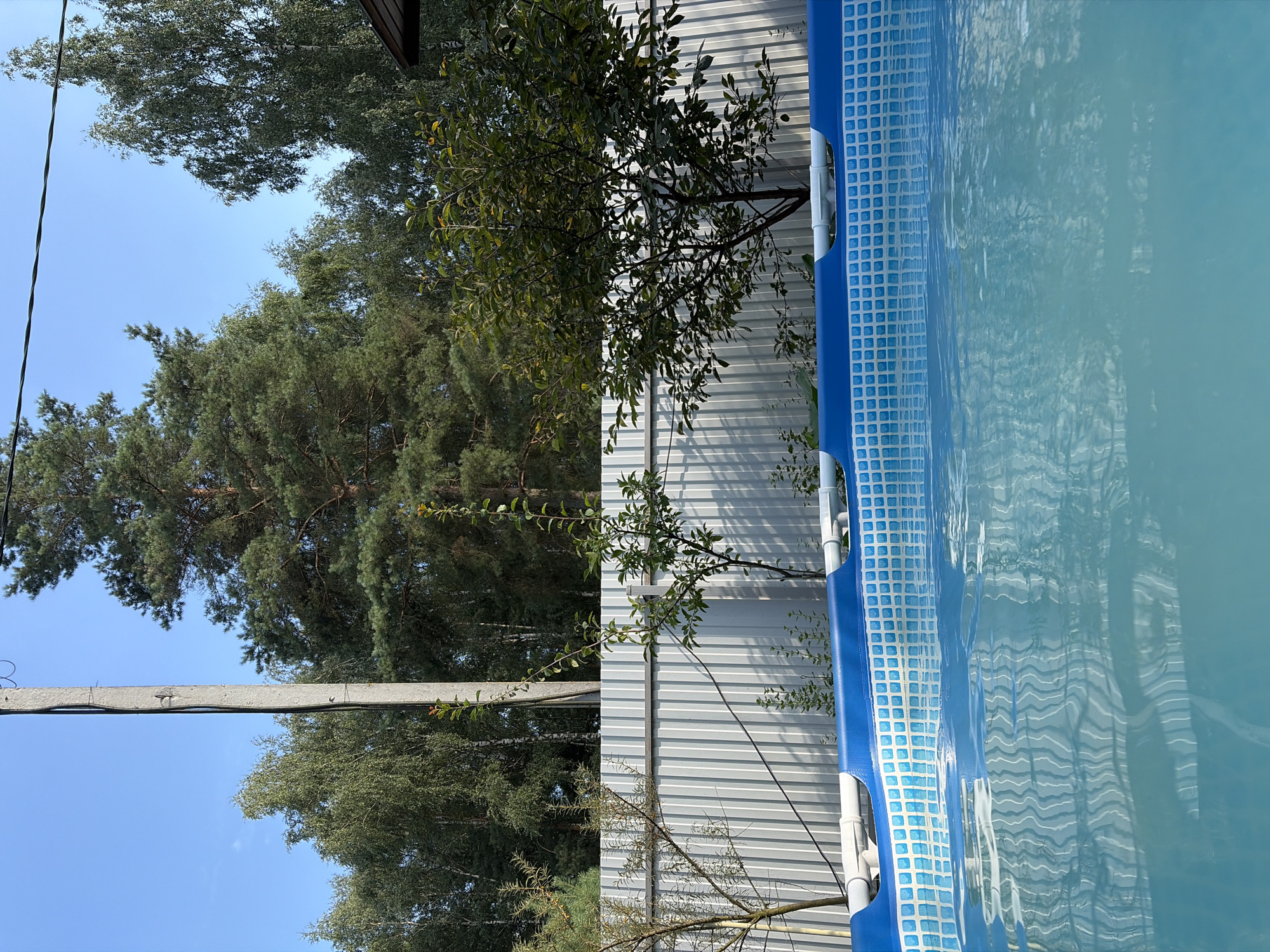 The image depicts an outdoor scene in Imeni Vorovskogo, Russia, dominated by a swimming pool in the foreground and a line of trees and a fence in the background. The swimming pool, with its blue patterned liner and white frame, is partially filled with clear, blue water that reflects the surroundings.
Behind the pool, a corrugated metal fence runs horizontally across the frame, separating the pool area from the natural landscape beyond. Several young trees and bushes are visible growing in front of the fence, some of which are casting shadows on its surface. A prominent concrete utility pole stands to the left of the frame, with electrical wires running from its top.
The background consists of a dense line of trees, including tall pines and deciduous trees with green foliage, under a clear blue sky. The overall impression is one of a suburban or semi-rural backyard setting on a sunny day. There are no people or animals visible in the image.