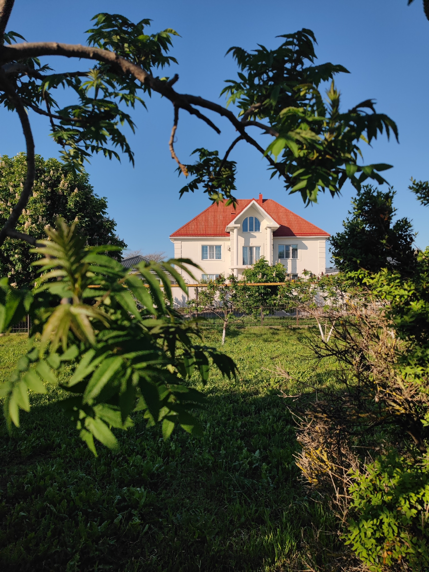 The image shows a large, two-story white house with a red tile roof located in a grassy area. A fence surrounds the property, which includes trees and shrubs. The scene is partially obscured by tree branches in the foreground. The sky is clear and blue. This image was taken in the city of Sennoy, Russia.