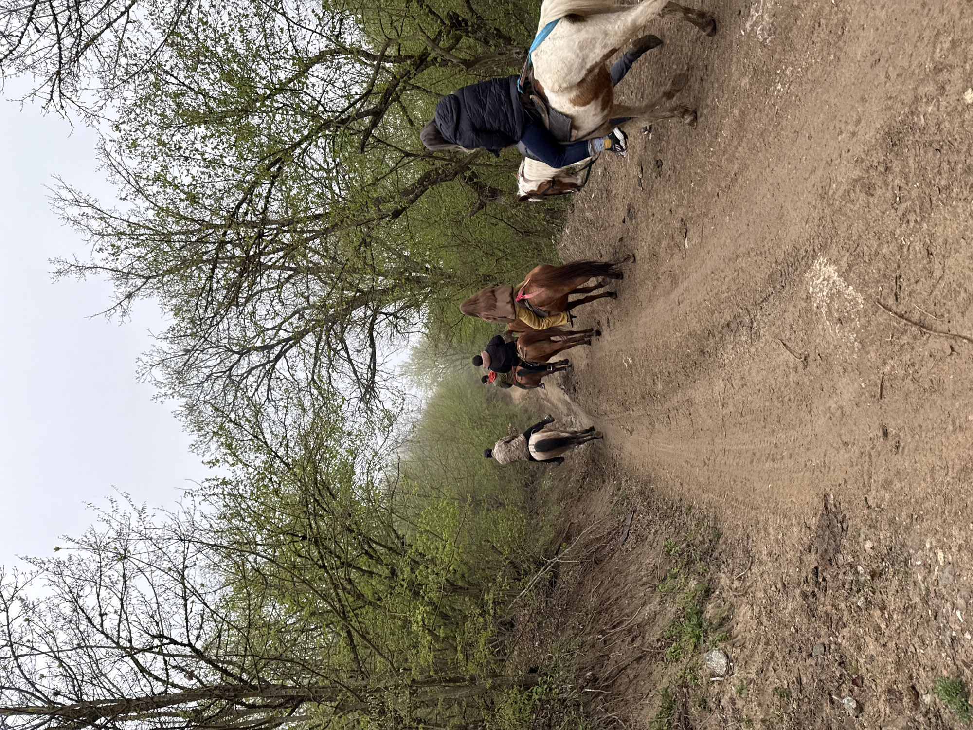 The image shows a group of people riding horses on a dirt path through a wooded area. There are at least four horses visible, each with a rider. The riders are wearing casual clothing. The path is surrounded by trees with budding green leaves. The environment appears overcast or foggy. The image captures a moment of leisure or a guided tour on horseback in Haghartsin, Armenia.