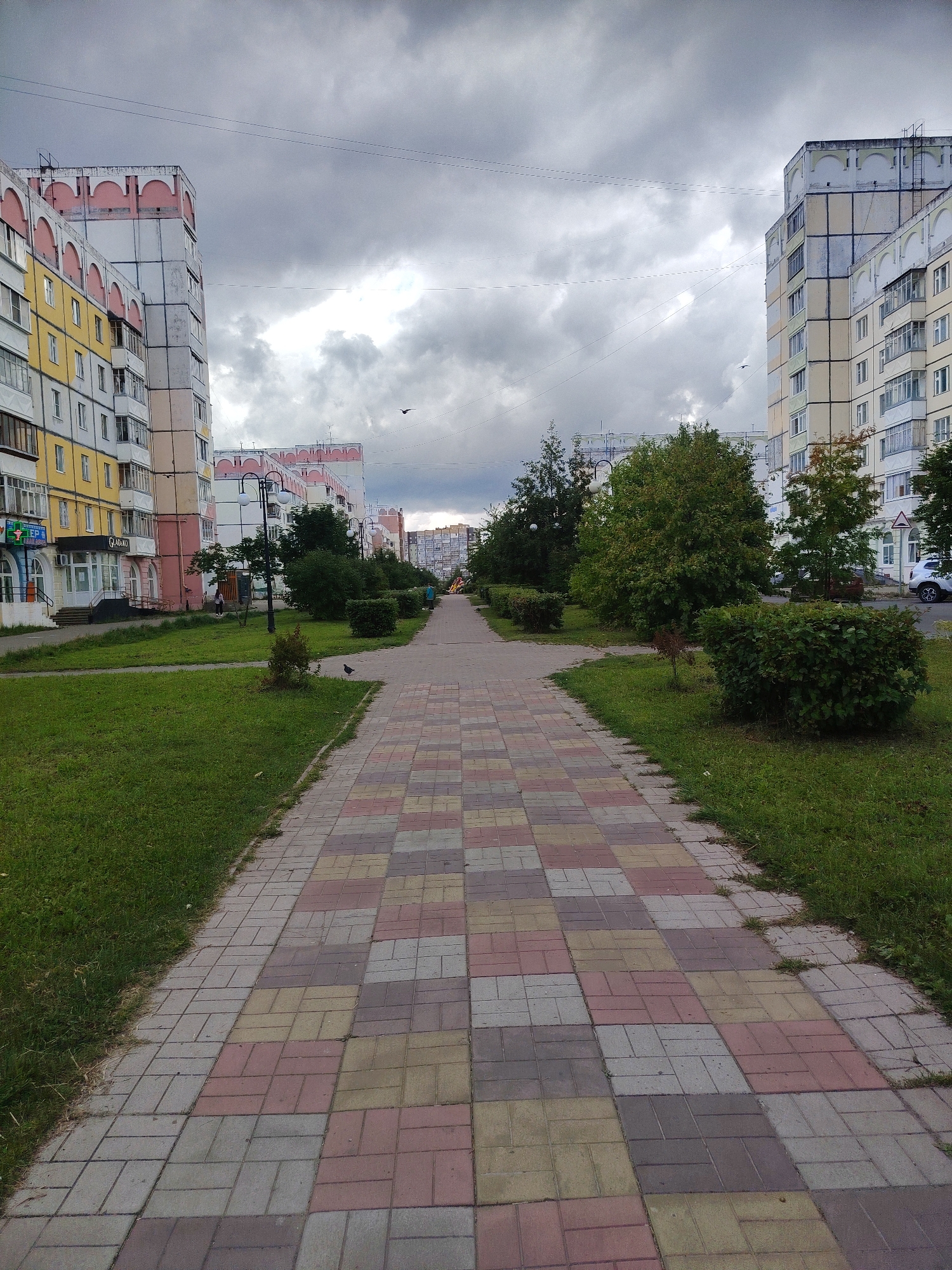 The image captures a view down a residential street in Syktyvkar, Russia, under an overcast sky. A pedestrian walkway, paved with multi-colored rectangular bricks, dominates the foreground and extends into the distance. To the left and right of the walkway are well-maintained lawns. Adjacent to the lawns are multi-story apartment buildings with light-colored facades, some accented with yellow and pink architectural details. Several trees and bushes are interspersed along the street. In the distance, more apartment buildings are visible, suggesting a densely populated urban area. The overall impression is of a typical residential neighborhood on a cloudy day.