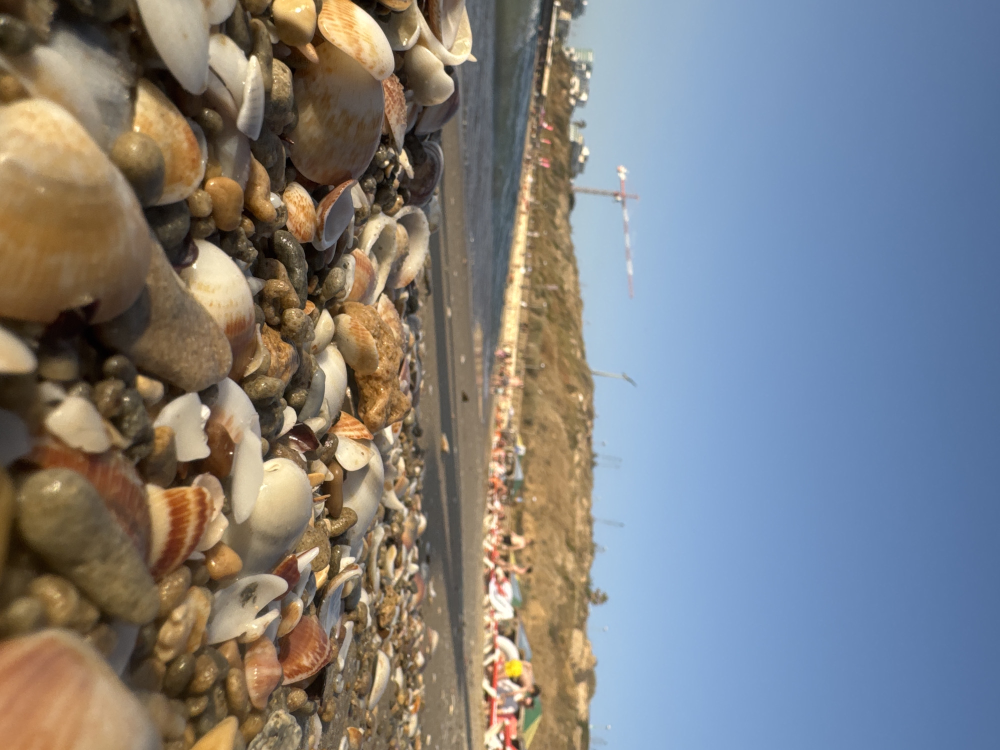 This image captures a low-angle perspective of a beach in Tel-Aviv, Israel, focused on the immediate foreground. The bottom third of the frame is dominated by a dense collection of seashells and small, wet pebbles, sharply detailed. The shells exhibit various sizes and colors, including white, cream, orange, and brown, with many appearing broken. The pebbles are smooth and dark, reflecting light from moisture.
Beyond the shells, a light brown waterline marks the edge of the sea, where gentle waves are visible. Along the sandy midground beach, approximately two dozen individuals are present, engaging in recreational activities. Several people are reclining on red lounge chairs, some shaded by colorful umbrellas (green and yellow), while others are standing or walking near the water. Distal human figures are blurred, obscuring individual characteristics.
The background features a low, earthen bluff topped with urban development. Several multi-story buildings are visible along the crest of the bluff, interspersed with sparse vegetation. A prominent red and white construction crane stands against the distant horizon. The sky is a clear, uninterrupted blue.