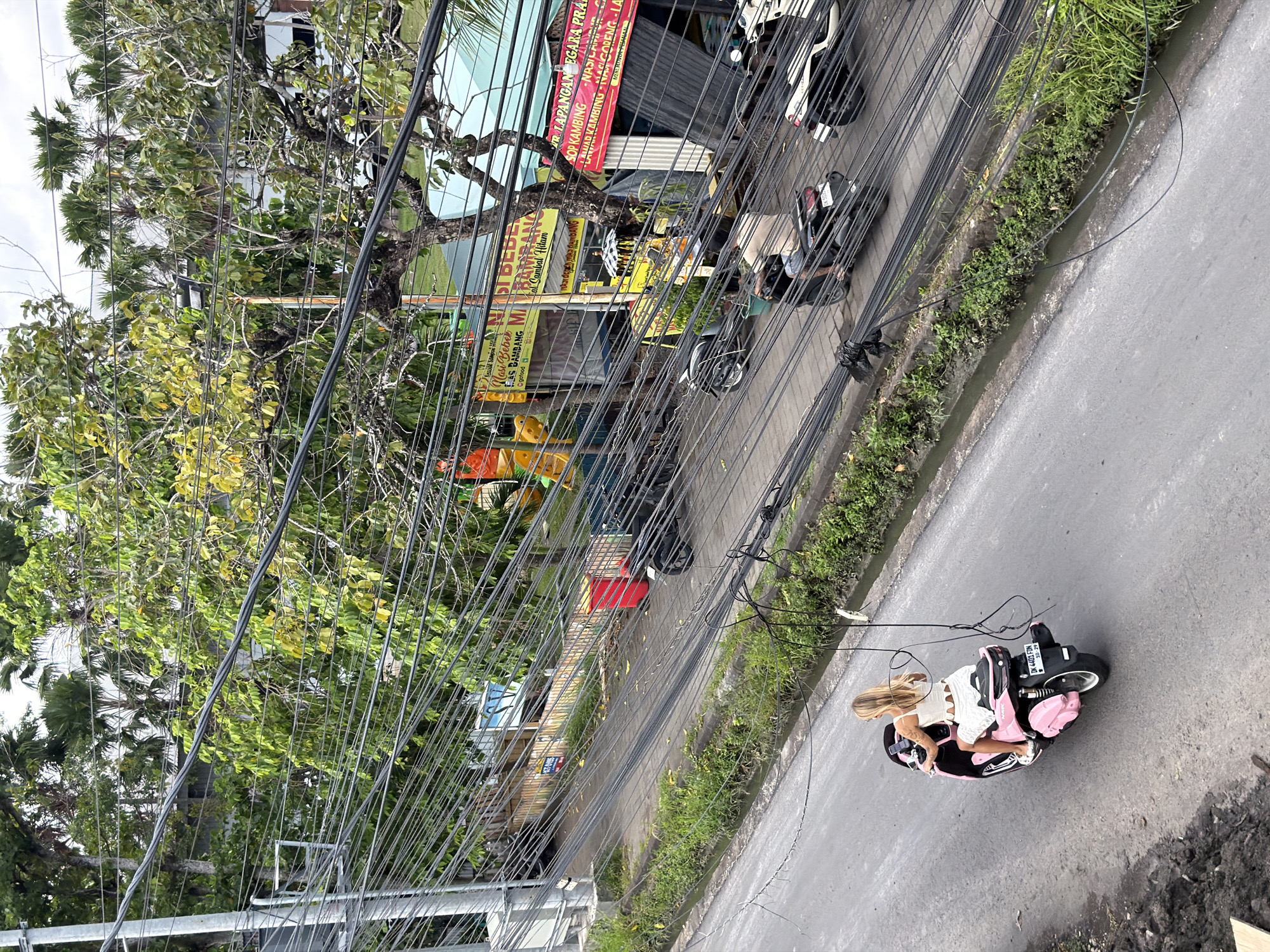 This photograph, taken in North Kuta, Indonesia, shows a blonde woman riding a pink and black motor scooter on a paved road. The scooter has a license plate that reads "DK 4401 FDN." Above the road, a dense network of electrical wires crisscrosses the scene, partially obscuring the view of the surrounding environment. A tree with green and yellow foliage dominates the left side of the frame. In the background, storefronts and parked motorcycles line the road. Signs with Indonesian writing are visible, including "Masi Bebek" and "UR. LAPANGAN EGARA PRA." A narrow strip of vegetation separates the road from the adjacent buildings. The angle of the shot suggests it was taken from an elevated position, looking down at the street below.