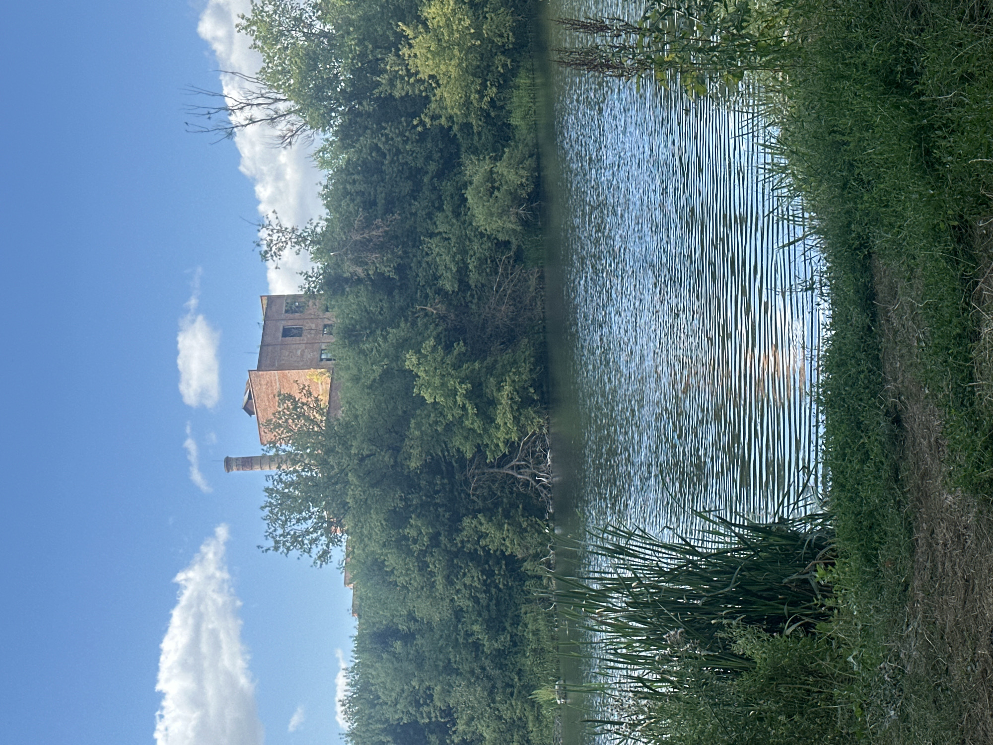 The image depicts a tranquil outdoor scene with a body of water in the foreground, reflecting the sky and surrounding foliage. The water surface is rippled, suggesting a gentle breeze. Along the right bank of the water, tall green grass and reeds are visible, transitioning into a dry, earthy path further to the right. Dense green trees line the left bank of the water, forming a lush backdrop.
In the background, a multi-story brick building with visible windows stands amidst the trees. A tall, cylindrical brick chimney is also present near the building. The sky above is a bright blue, dotted with scattered white clouds.
The scene appears to be set during daylight hours, likely in the late morning or early afternoon, given the brightness of the sky and the quality of light. The overall atmosphere is peaceful and natural, with the man-made structures subtly integrated into the landscape. There is no visible text in the image. The location context provided is Shatava, Ukraine.