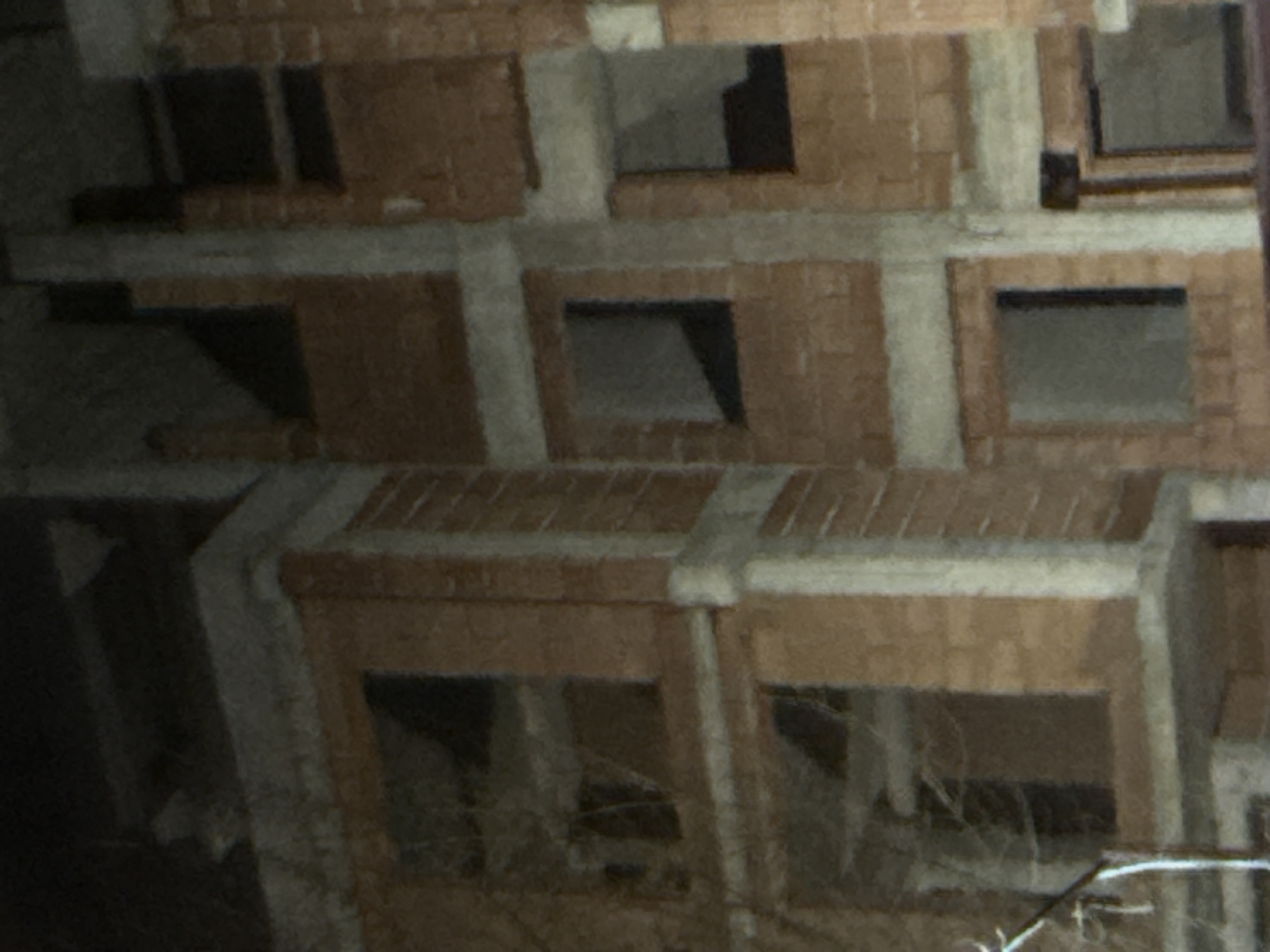 The image displays a grainy, low-light view of a multi-story building, likely unfinished or abandoned, situated in the city of Unknown, Unknown. The structure is characterized by light brown brick-like blocks forming the walls, complemented by prominent gray-white concrete columns and horizontal beams that comprise the building's skeletal framework. Multiple rectangular openings, devoid of glass or frames, function as windows across the visible floors, revealing dark interior spaces. Bare, leafless tree branches partially obscure the left side of the building's facade. No individuals, active construction, or specific objects beyond the architectural elements are discernible within the frame.