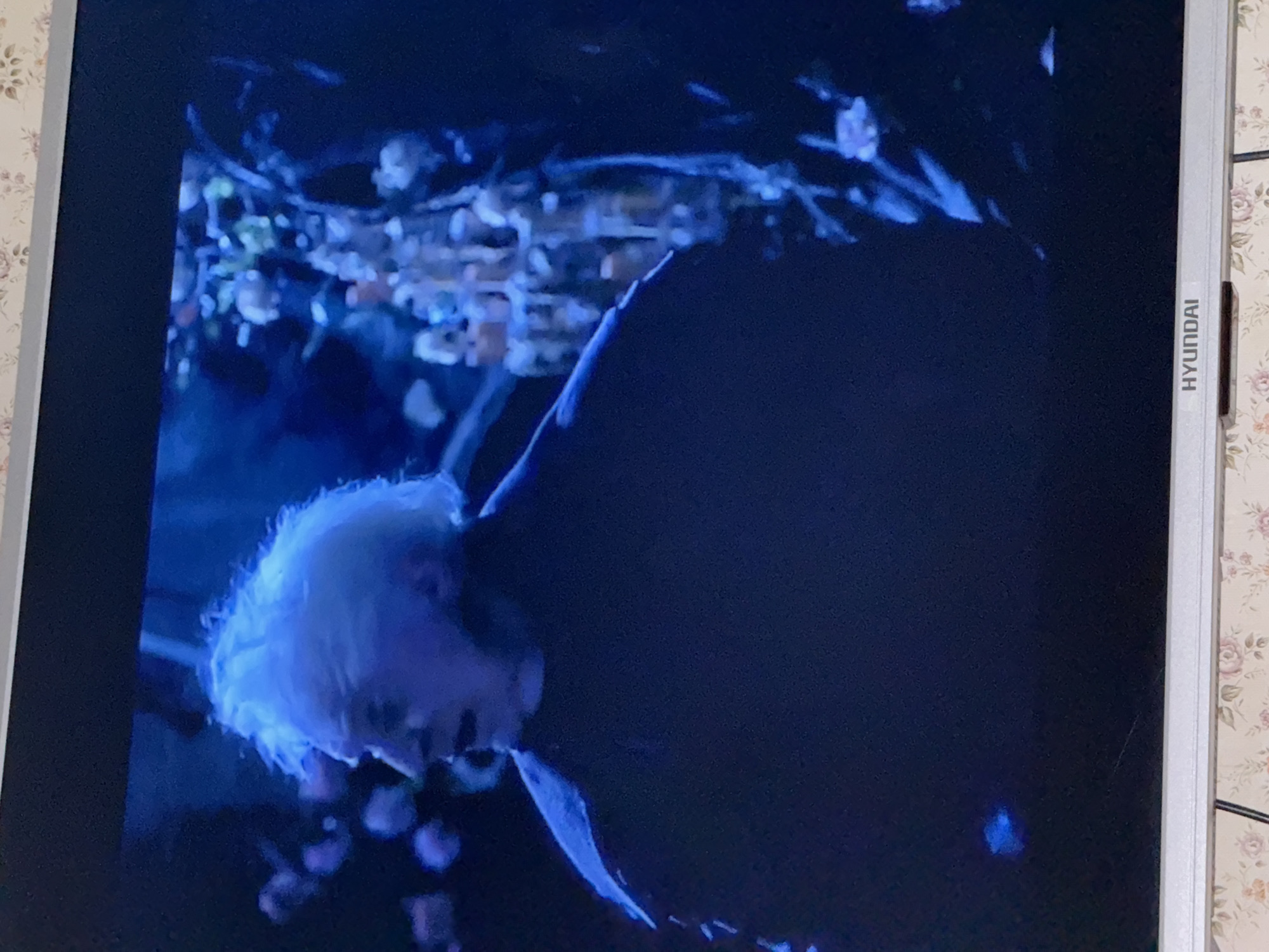 A person with white hair is wearing a dark coat. The scene is dimly lit with blue light, and there are blurred objects resembling foliage in the background. The image appears to be displayed on a Hyundai monitor. No information about the location in Mytishchi, Russia, can be determined from the image.