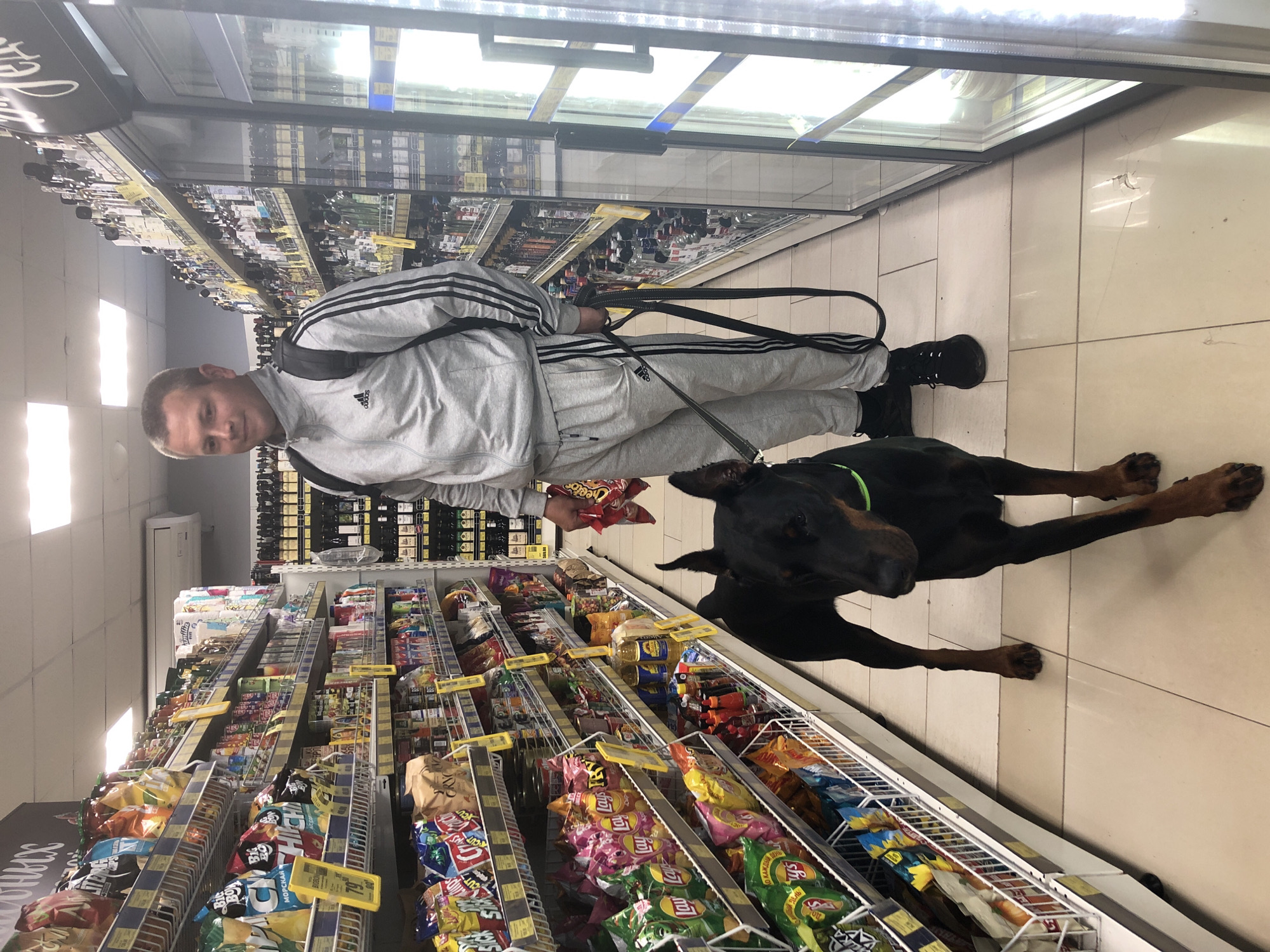 A man wearing an Adidas tracksuit walks his Doberman Pinscher on a leash through a supermarket aisle in Solikamsk, Russia. The man is holding a bag of chips in his right hand and the dog's leash in his left. The dog is black with tan markings and is wearing a green collar. The aisle is stocked with various snack foods and beverages. The man is looking towards the camera. The lighting is fluorescent.