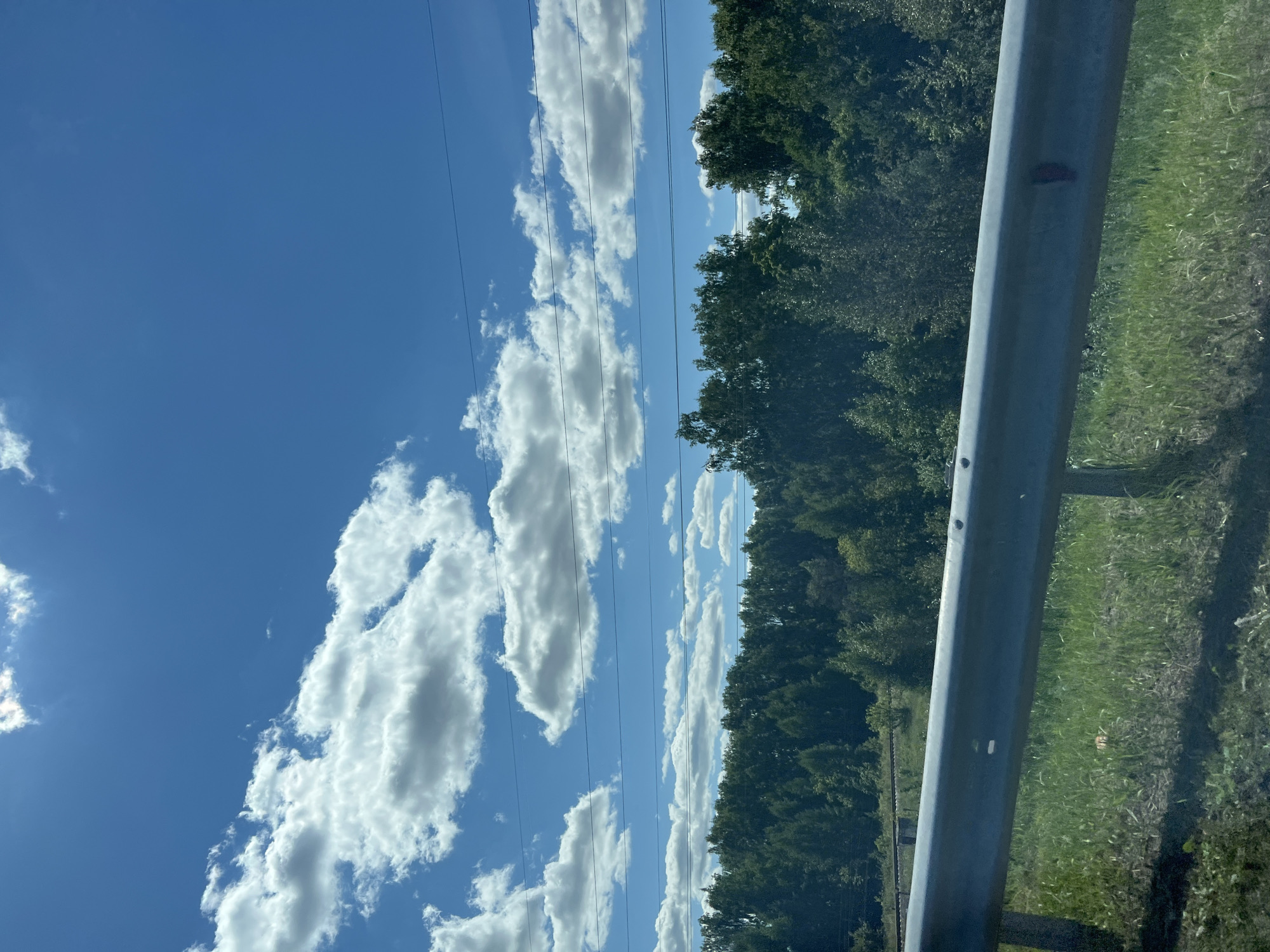 This is a medium-shot, eye-level, landscape photograph of a rural scene on a sunny day. In the foreground, a metal guardrail runs horizontally across the frame, supported by concrete posts on either side. Beyond the guardrail, a grassy area is visible, with some darker patches of shadow. A line of dense green trees forms the background, stretching across the width of the image. Above the trees, a bright blue sky is dotted with fluffy white clouds, some of which are illuminated by sunlight. Several thin, dark lines, likely power lines, are stretched horizontally across the sky. The scene is indicative of a roadside view in a natural setting, potentially near a highway or rural road. The location is identified as Malaevka, Russia. There are no people or animals visible in the image.