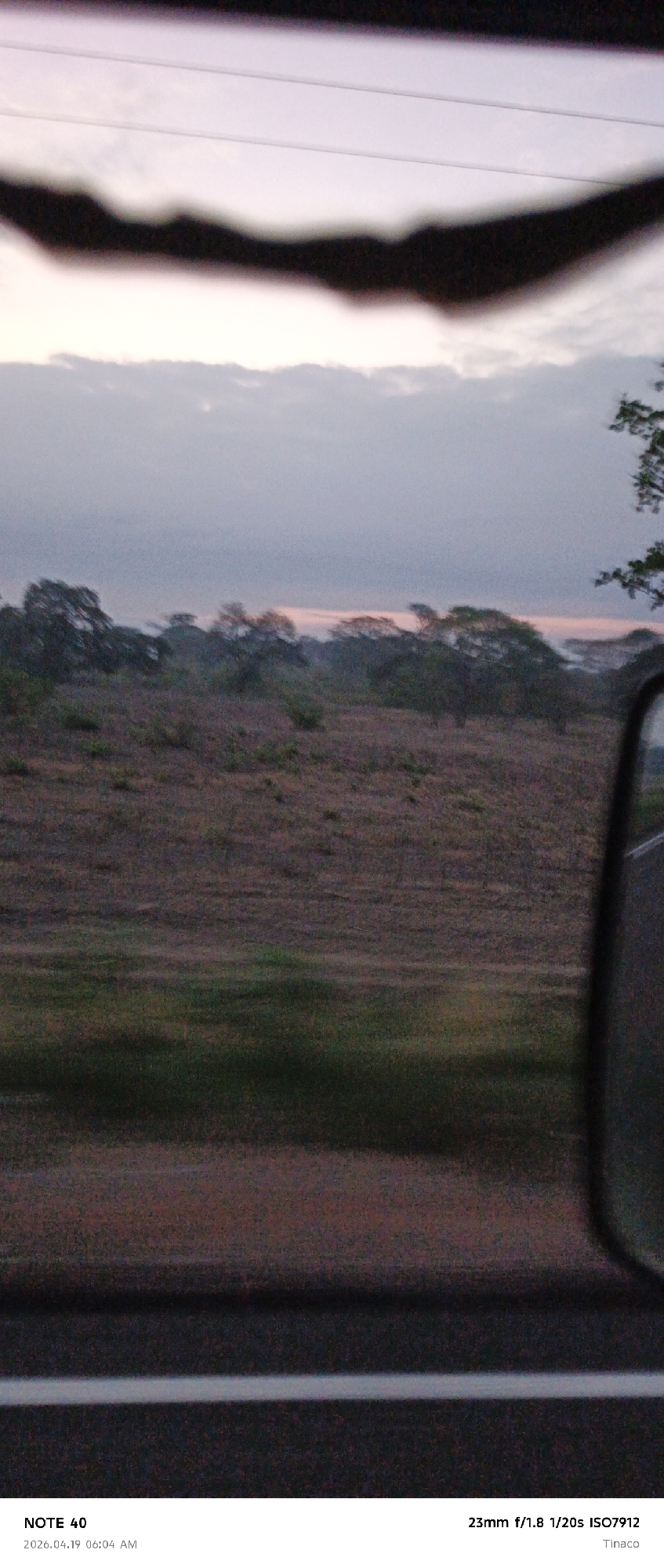 Captured from a moving vehicle in Tinaco, Venezuela, the image shows a view of the roadside landscape at dusk or dawn. Trees line the horizon under a clouded sky with a hint of light, while a field or open area stretches in between. Parts of the vehicle, including the roof and side mirror, are visible. The road is marked with a white line.