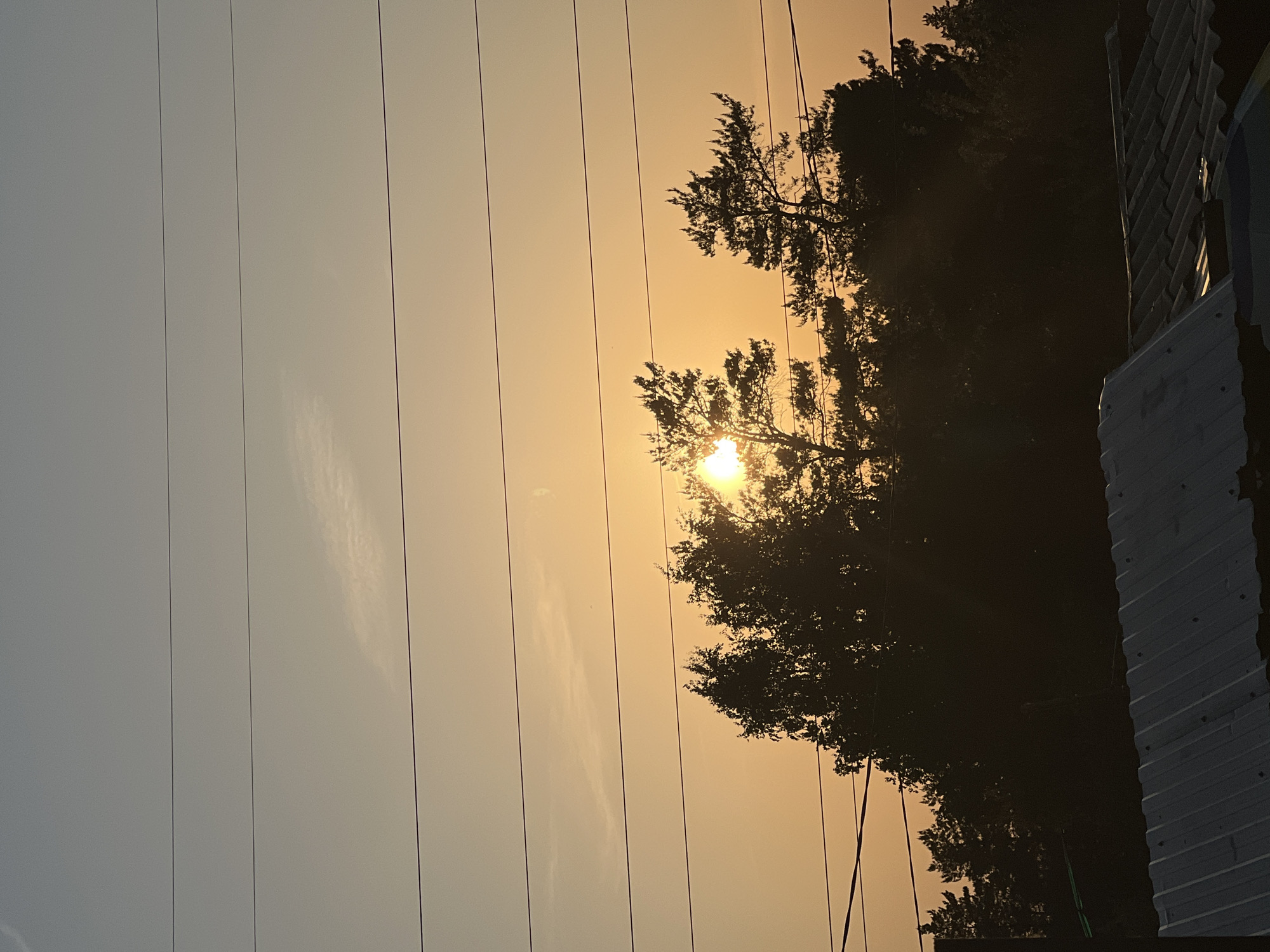 Here is a description of the image:
The image shows a sunset or sunrise viewed from a location with power lines overhead and trees partially obscuring the sun. The sky transitions from a lighter grey to an orange hue where the sun is visible. A tree's silhouette is seen with the sun shining through its branches. Part of a building with corrugated siding is visible on the right side of the frame. There are no people visible in the image. It is not possible to confirm the location as Chaikovsky, Russia, based on the visual information provided in the image.