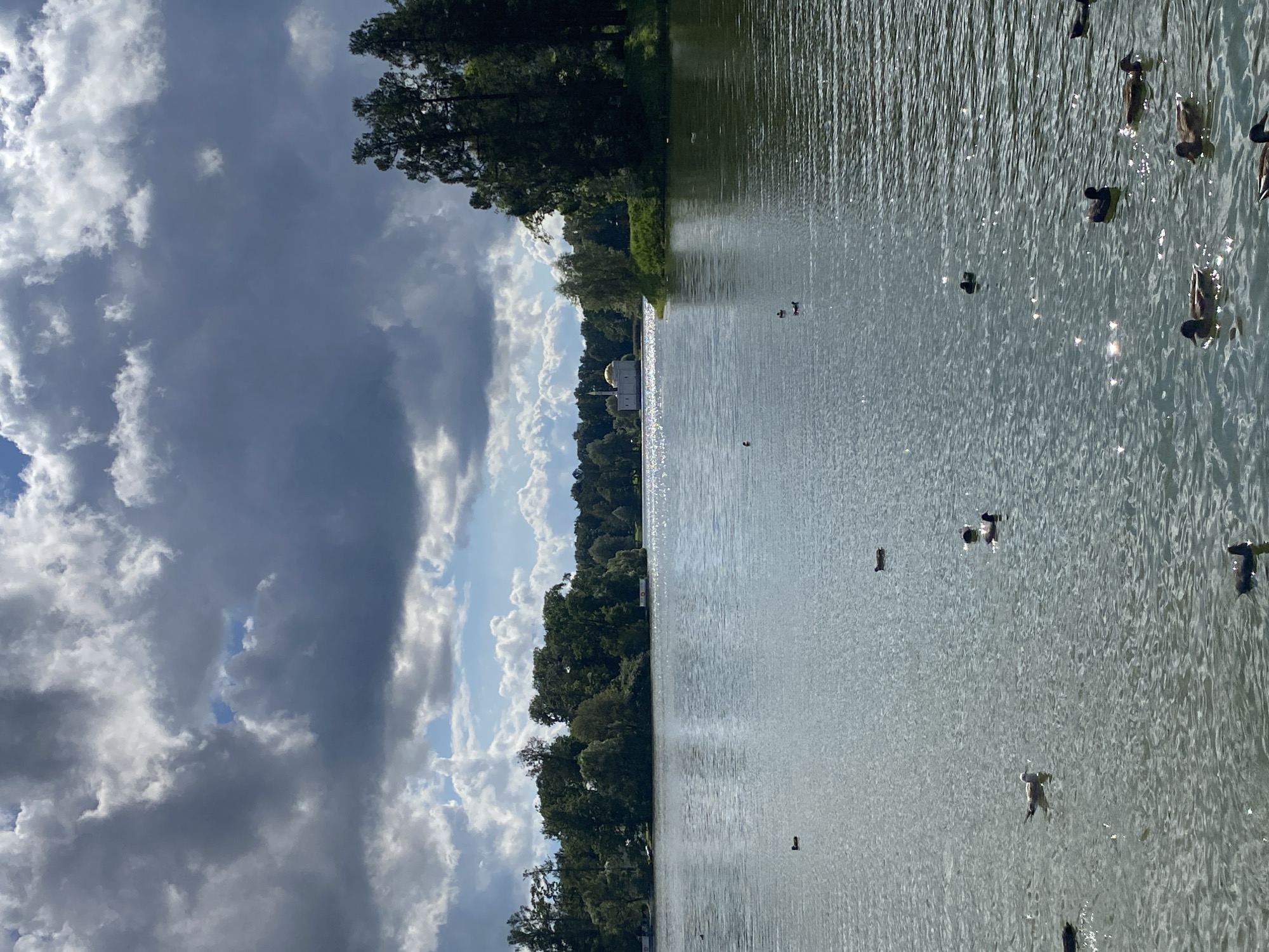 The image depicts a serene lake with a distant white building with a golden dome, likely a church or pavilion, surrounded by lush green trees. The sky is dramatic, with a mix of dark, heavy clouds and patches of bright blue sky, creating an interesting interplay of light and shadow on the water. Several birds, including ducks and a seagull, are scattered across the surface of the lake, some swimming and others appearing to be floating. The water itself is rippled, with sunlight glinting off its surface, adding a sparkling effect. The scene suggests a tranquil natural environment, possibly a park or a nature reserve in Pudomyagi, Russia.