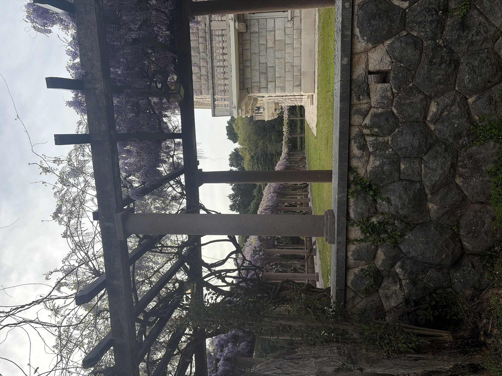The image shows a view through a wooden pergola covered in wisteria blossoms, overlooking a garden with a stone walkway and pillars also adorned with wisteria. A stone wall is visible on the right side of the frame. The background features a building with light-colored stone blocks and further greenery. The location is a city, but the specific city is unknown. The scene appears to be a garden or park setting.