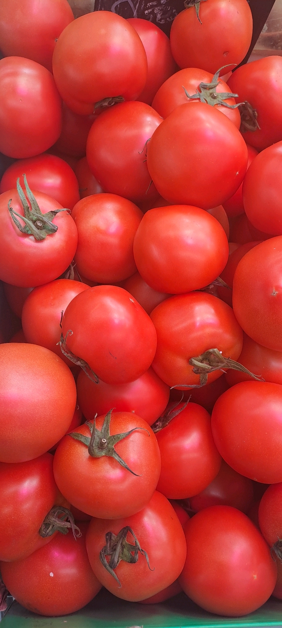 A close-up, overhead shot displays a pile of ripe, red tomatoes. The tomatoes are smooth-skinned and round, with some showing hints of green at the stem. They are packed tightly together, creating a visually dense arrangement of the fruit. The lighting is bright, highlighting the vibrant red color of the tomatoes and creating subtle reflections on their surfaces. The overall impression is one of freshness and abundance. The image does not contain any elements that indicate a specific location in Hong Kong, China, or any specific context beyond the subject matter.