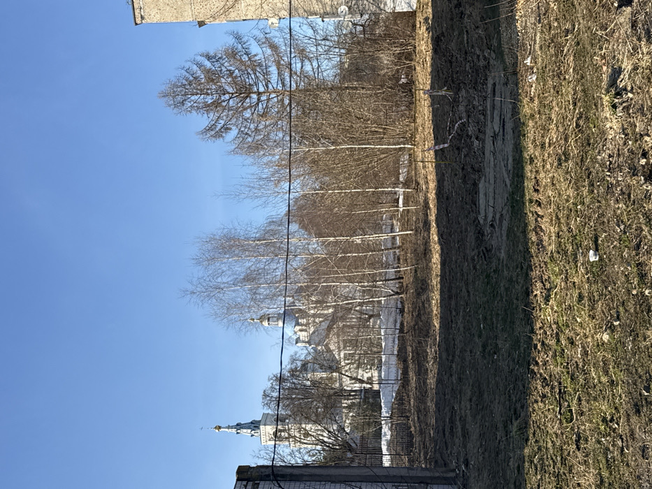 The image depicts an outdoor scene in Dedenevo, Russia, providing a view of the Spaso-Vlakherna Convent and its Savior-Transfiguration Church. The foreground consists of uneven, damp earth with sparse, brown vegetation. A single white disposable cup is present on the ground in the lower-center. A disturbed section of ground, possibly an excavation or construction area, is visible in the mid-foreground, marked by several yellow and red striped stakes.
A series of dark wires traverses the image horizontally, approximately one-third of the way from the top. Behind these wires, a line of bare deciduous trees, including several slender birches, stands alongside a tall, narrow conifer on the right. Patches of melting snow are visible on the ground behind a dark metal fence located below the trees.
In the background, the Spaso-Vlakherna Convent is clearly visible, dominated by the white Savior-Transfiguration Church. The church features multiple light blue domes adorned with gold stars and smaller golden cupolas, along with a prominent tall bell tower topped by a blue spire and a golden cross. To the far right, a portion of a multi-story, light-colored building is partially visible. The sky is clear and bright blue, indicating daylight conditions. No individuals are present within the frame.