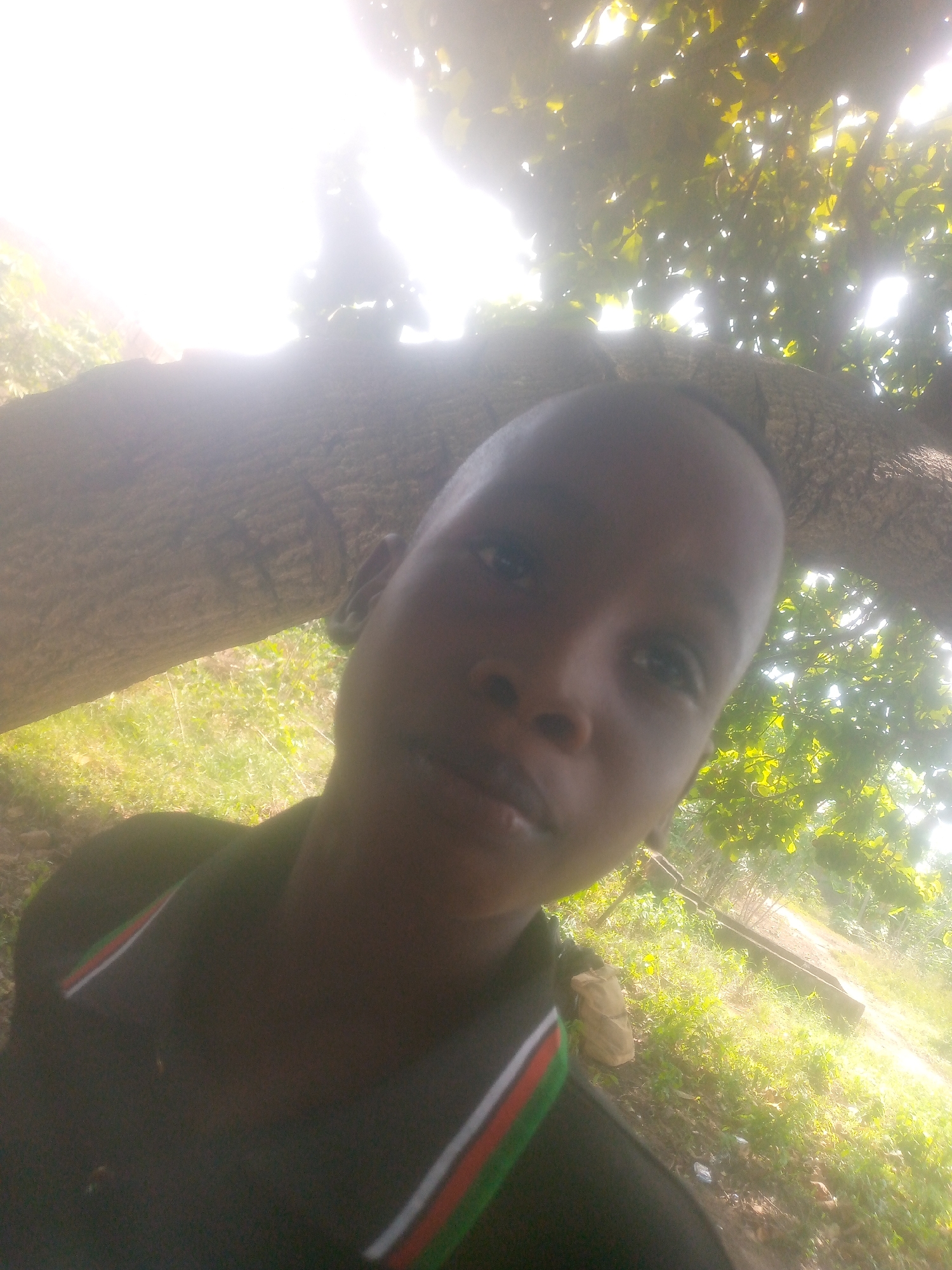 A low-angle shot shows a person with dark skin and a shaved head. They are wearing a dark-colored shirt with a white, red, and green striped collar. The person is positioned under the branches of a large tree with bright sunlight filtering through the leaves. The background consists of a grassy area with scattered vegetation and bright sunlight. The location is in the city of Unknown, Unknown.