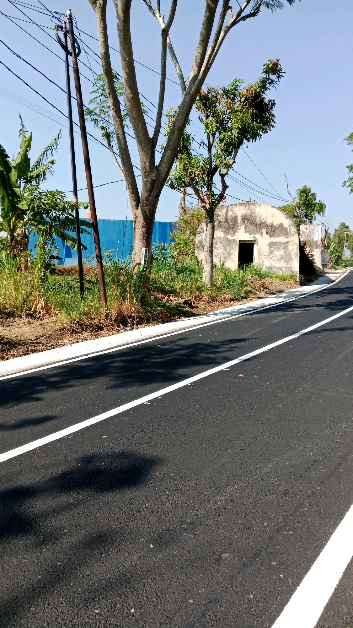 The image depicts a road with white markings in Randusongo, Indonesia. A power pole with overhead wires stands to the left of the road. Adjacent to the road is a patch of overgrown vegetation, including banana trees and tall grass. Further back, a small, dilapidated structure with an arched opening is visible, partially obscured by trees. The sky is clear and blue, indicating a sunny day. The road appears to be newly paved.