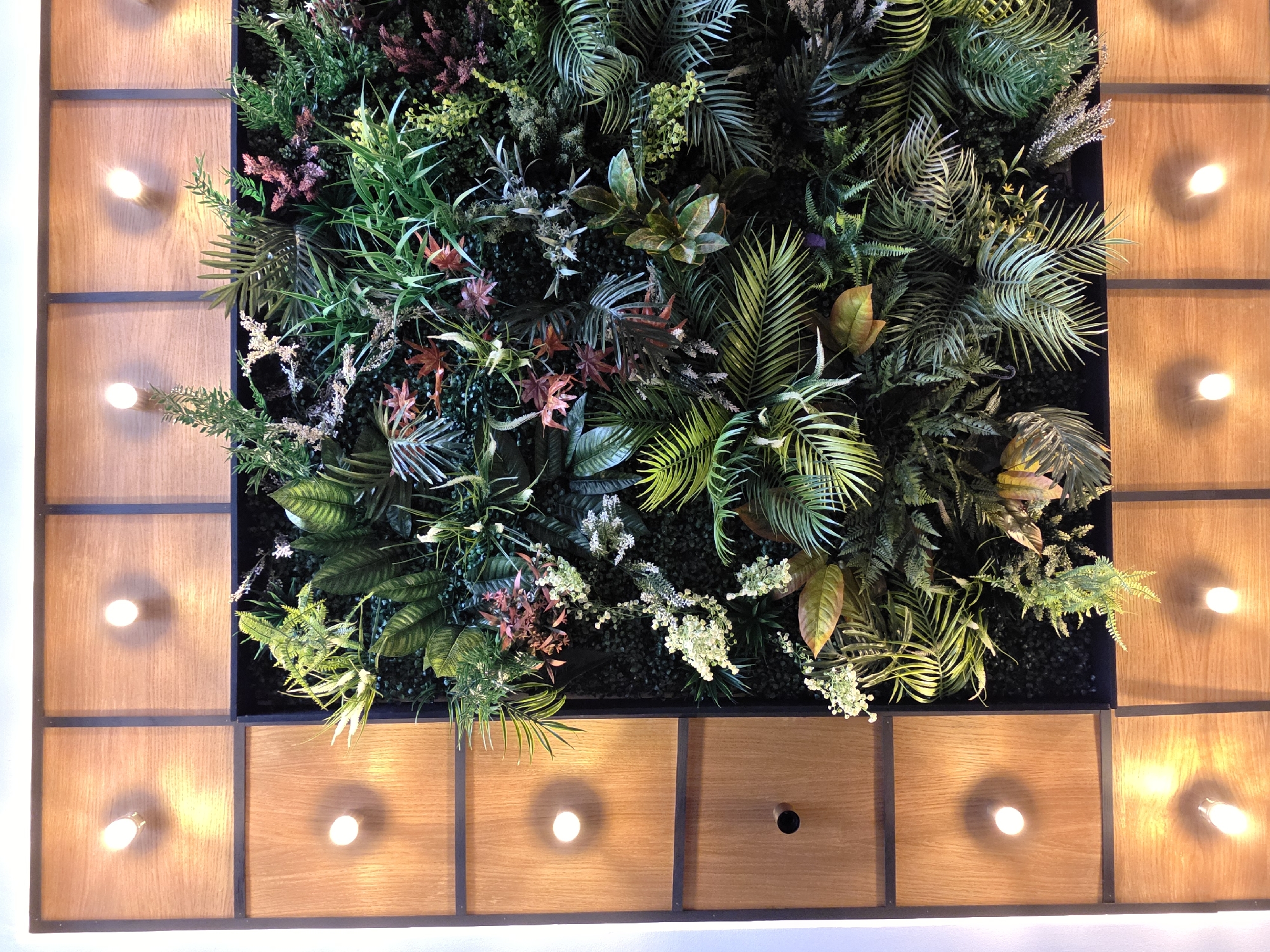 A low-angle, upward-facing shot shows an artificial botanical display framed by a grid of wooden boxes, each containing a lightbulb. The botanical display is a dense arrangement of various green and red artificial plants, filling the central rectangular space. The wooden grid consists of squares with dark metal frames and bright recessed lights. The image was taken indoors. The location is not apparent from the image and cannot be determined as Varna, Bulgaria.