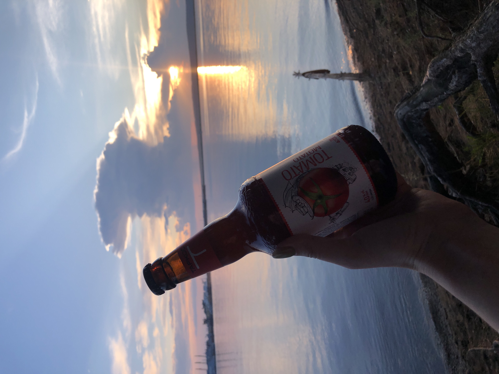 A person's hand holds a glass bottle with a red and white label that reads "TOMATO" and appears to be a beverage. The bottle is tilted, and the person's arm is visible, holding it up against a sunset sky over a body of water. The sky is painted with hues of orange, yellow, and blue, with dramatic clouds illuminated by the setting sun. The water reflects the colors of the sky, creating a shimmering effect. In the distance, the silhouette of a city skyline, possibly Chaikovsky, Russia, can be seen along the horizon, with a few boats docked. The foreground shows the edge of the land with some dry branches and vegetation. The overall scene evokes a sense of relaxation and appreciation of nature's beauty.