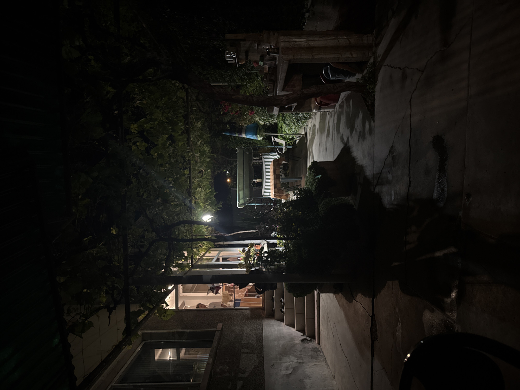 The image, taken at night, depicts a narrow outdoor passage or alleyway between buildings in Govedare, Bulgaria, illuminated by artificial light sources. The path, made of concrete, shows visible cracks and some damp or stained areas.
On the left, a building wall with multiple windows is present. Lights from inside these windows faintly illuminate the interior, revealing household items and what appears to be a person's silhouette in the lower window. A dense canopy of vines, likely grapevines, covers a trellis overhead, their leaves visible against the dark sky.
In the middle distance, a bright, solitary overhead light source casts strong shadows across the ground and walls. Below this light, an outdoor seating area is visible, featuring a blue and white striped umbrella, chairs, and a table-like surface. A faint human figure can be discerned near this seating arrangement. Further down the path on the right, a set of concrete steps leads downwards, and beyond them, an outdoor brick or stone oven/BBQ structure is visible.
The scene conveys a quiet, residential evening atmosphere in a rustic setting, with the artificial lighting creating an intimate feel. No discernible text is visible in the image.