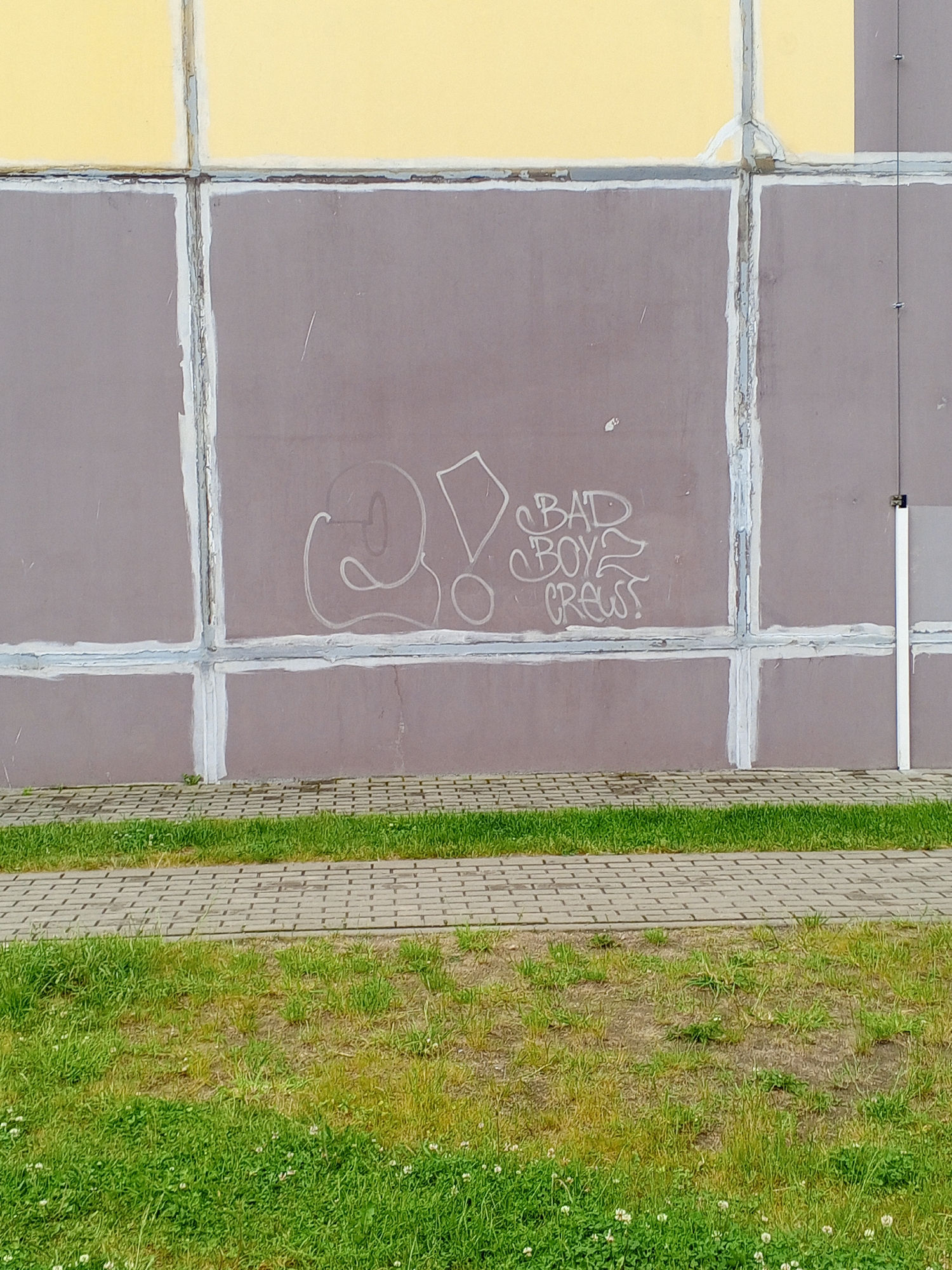 The image depicts an exterior wall section of a building in Unknown, Unknown, featuring a paved walkway and a grassy area. The upper segment of the wall is painted yellow, separated by a horizontal joint from the lower, larger section, which is a muted grayish-purple. This lower section is visually divided into rectangular panels by irregular applications of white or light gray sealant along horizontal and vertical construction joints. Centered on the grayish-purple wall is light-colored graffiti consisting of a large "2!" symbol to the left and the stylized text "BAD BOYZ CREW!" to the right. A thin, white vertical conduit or pipe is attached to the far right side of the wall. Below the wall, a gray, rectangular-patterned paver walkway extends horizontally. The foreground comprises a strip of uneven green grass mixed with patches of bare soil and scattered white clover flowers. The scene is evenly lit by diffuse daylight; no individuals are present.