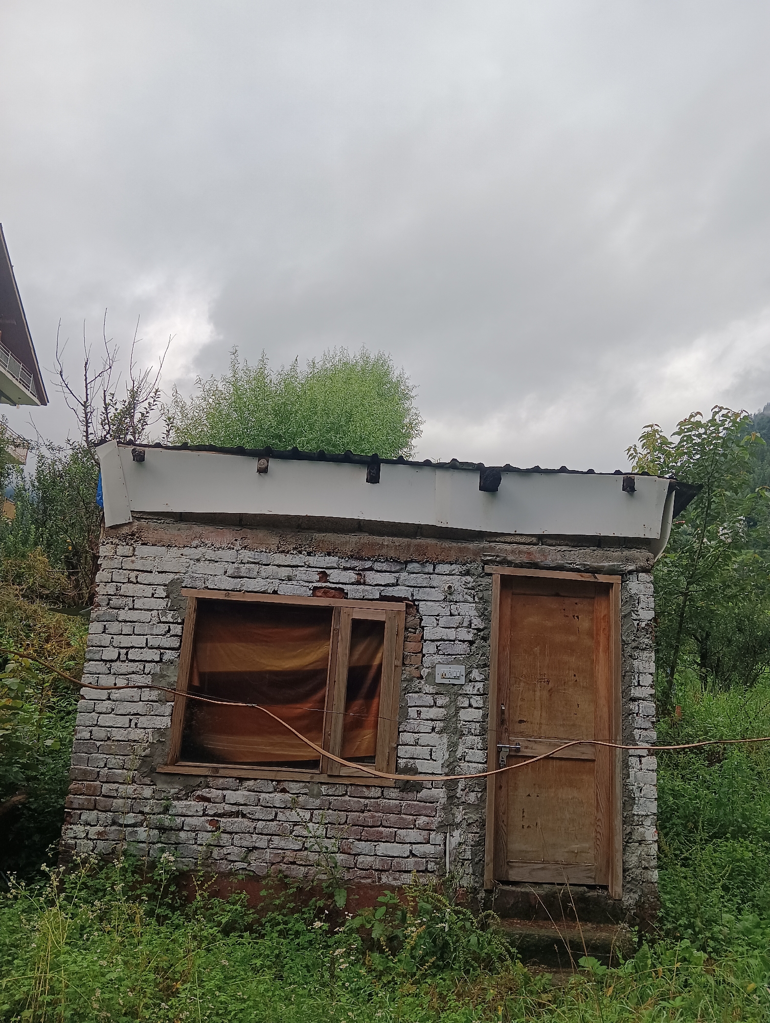 The image depicts a small, rustic, single-story structure constructed with weathered bricks, likely located in Manali, India. The building has a simple, unfinished appearance. A wooden door, appearing aged and slightly warped, is visible on the right side of the facade. To the left of the door, there is a window with a wooden frame, covered by a translucent, amber-colored material. The roof of the structure is covered with what appears to be corrugated metal and is partially obscured by a white, weather-resistant material along the edge.
The building is surrounded by lush green vegetation, with tall grass and various plants growing around its base and along the sides. In the background, trees and foliage are visible, suggesting a natural or semi-rural setting. The sky is overcast with heavy clouds, indicating a cloudy or possibly rainy day. To the far left, a portion of another building with a dark roof and lighter colored walls can be seen, hinting at proximity to other structures or a more developed area. The overall scene conveys a sense of modest, perhaps slightly neglected, rural architecture within a verdant environment.