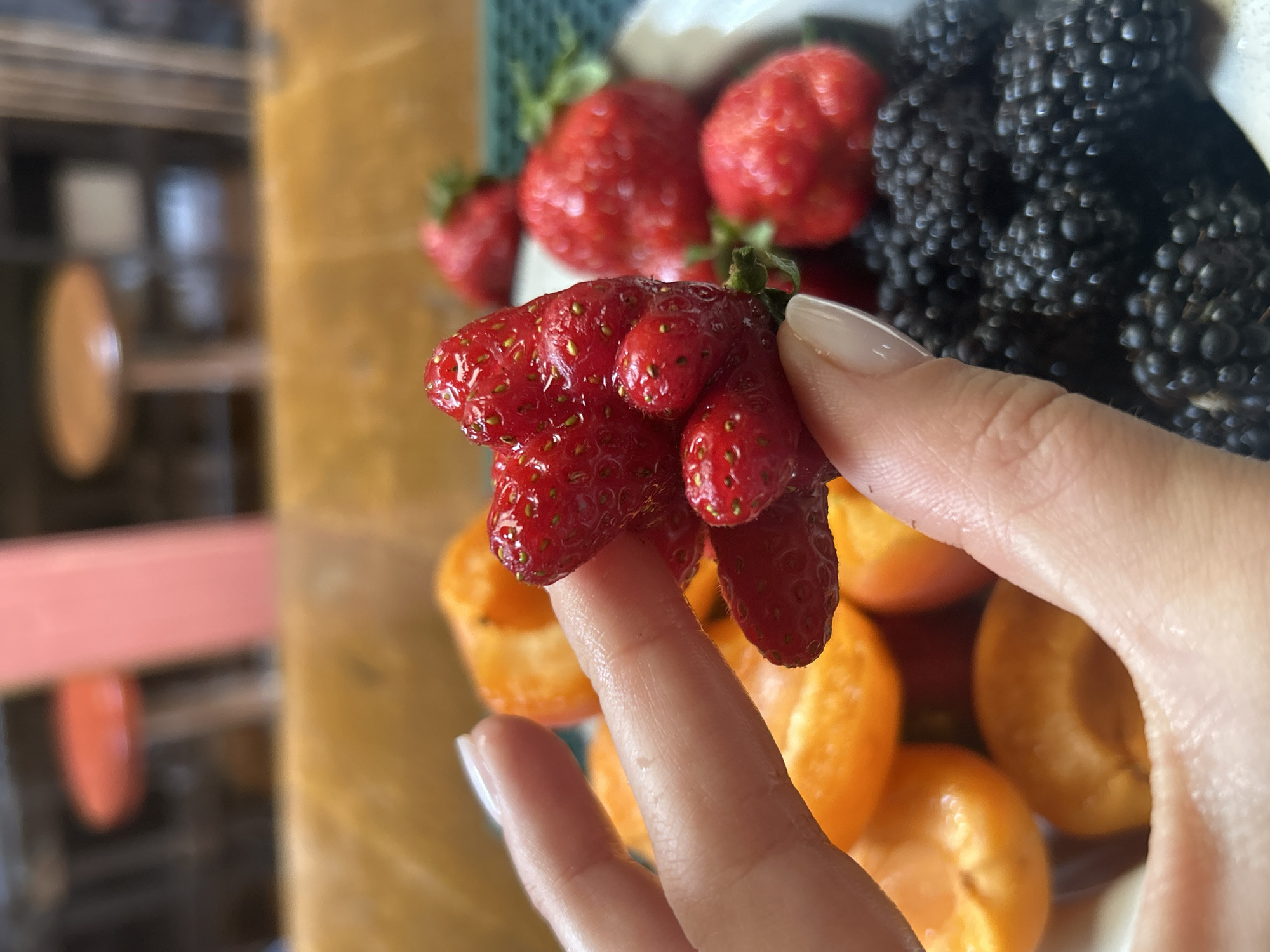 A close-up shot shows a person's hand holding a cluster of strawberries, with some of the berries appearing deformed and fused together. The hand has neatly manicured nails with a pale, neutral polish. In the background, a bowl of fruit is visible, containing more strawberries, blackberries, and what appear to be sliced apricots or peaches. The fruit is arranged in a way that suggests it is either being prepared or served. The setting appears to be indoors, possibly a kitchen or dining area, with a wooden surface and a blurred background that hints at household items. The lighting is natural and appears to be daylight, creating a soft, inviting atmosphere. The overall impression is one of casual enjoyment of fresh fruit. There is no visible text in the image. The implied location is Sofia, Bulgaria.