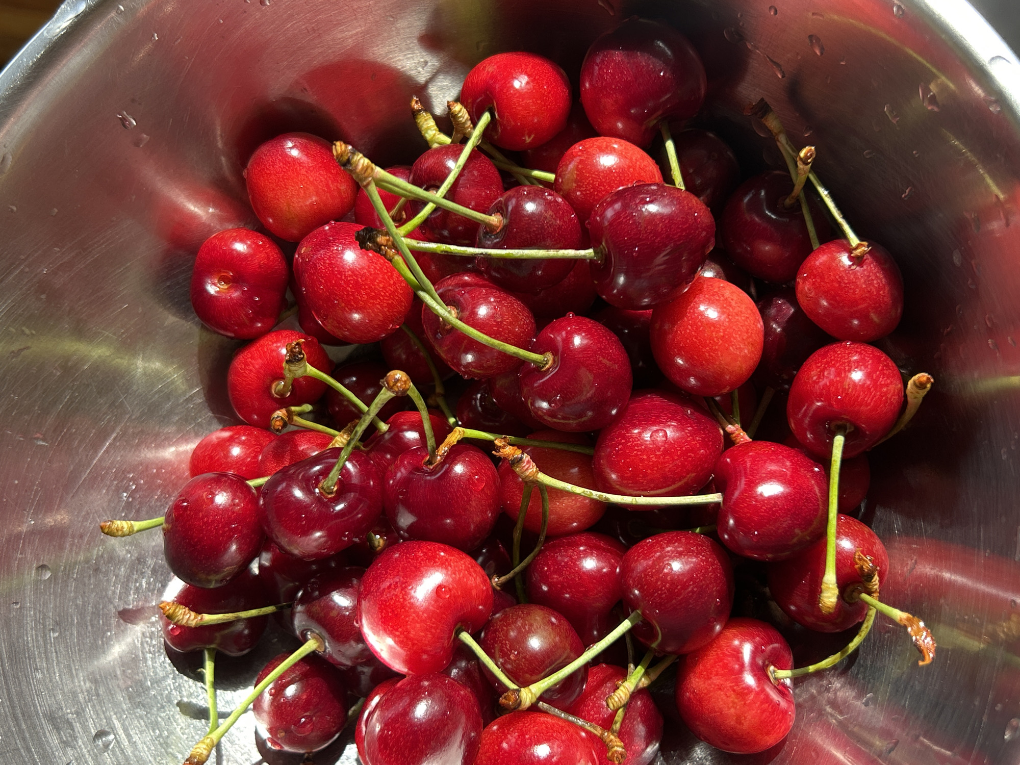 A high-angle, close-up shot depicts a collection of red cherries inside a shiny metal bowl. The cherries are glossy, suggesting they may be wet, and some have visible water droplets on their surfaces. Most of the cherries retain their green stems, which are intertwined amongst the fruit. The bowl's surface is reflective, showing subtle light patterns and possibly more cherries indistinctly reflected.