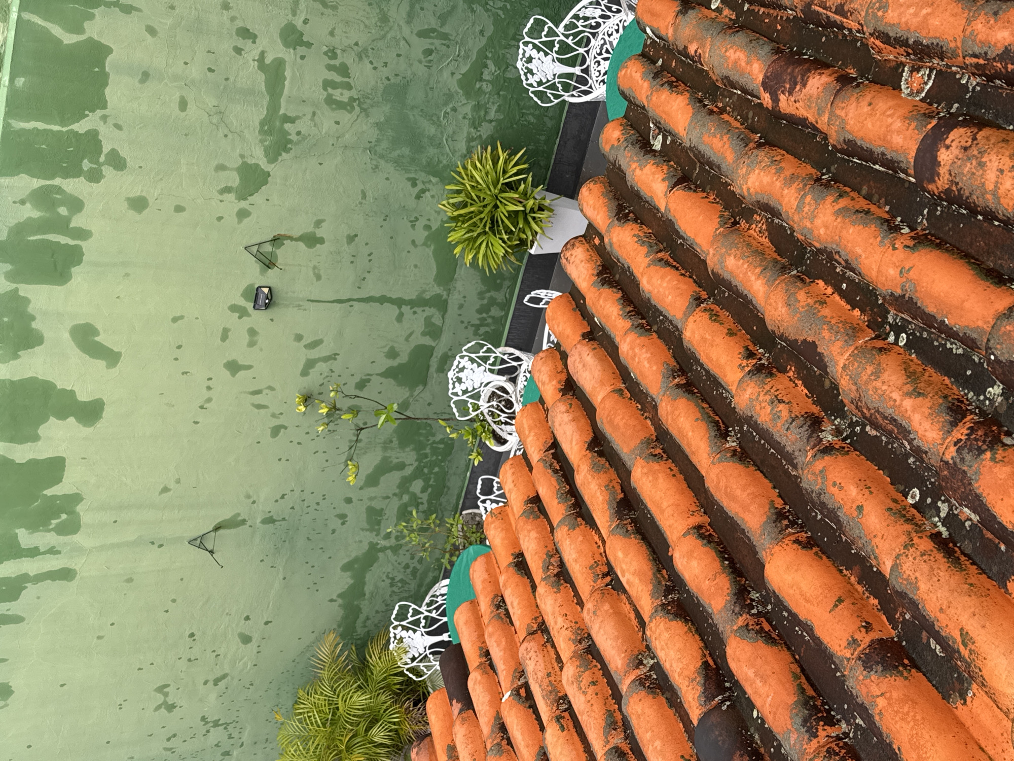 The image shows a rooftop with orange clay tiles. The tiles are weathered and have patches of dark discoloration. In the background, a light green wall is visible with water stains and two decorative metal structures that appear to be stylized elephant silhouettes. A small potted plant sits on the roof. The scene suggests an outdoor setting, likely in a humid climate, given the water stains on the wall. The overall impression is one of a somewhat aged but well-maintained outdoor space, possibly a balcony or patio area. The city of Niterói, Brazil, is known for its numerous rooftop gardens and scenic views, which this image may represent.