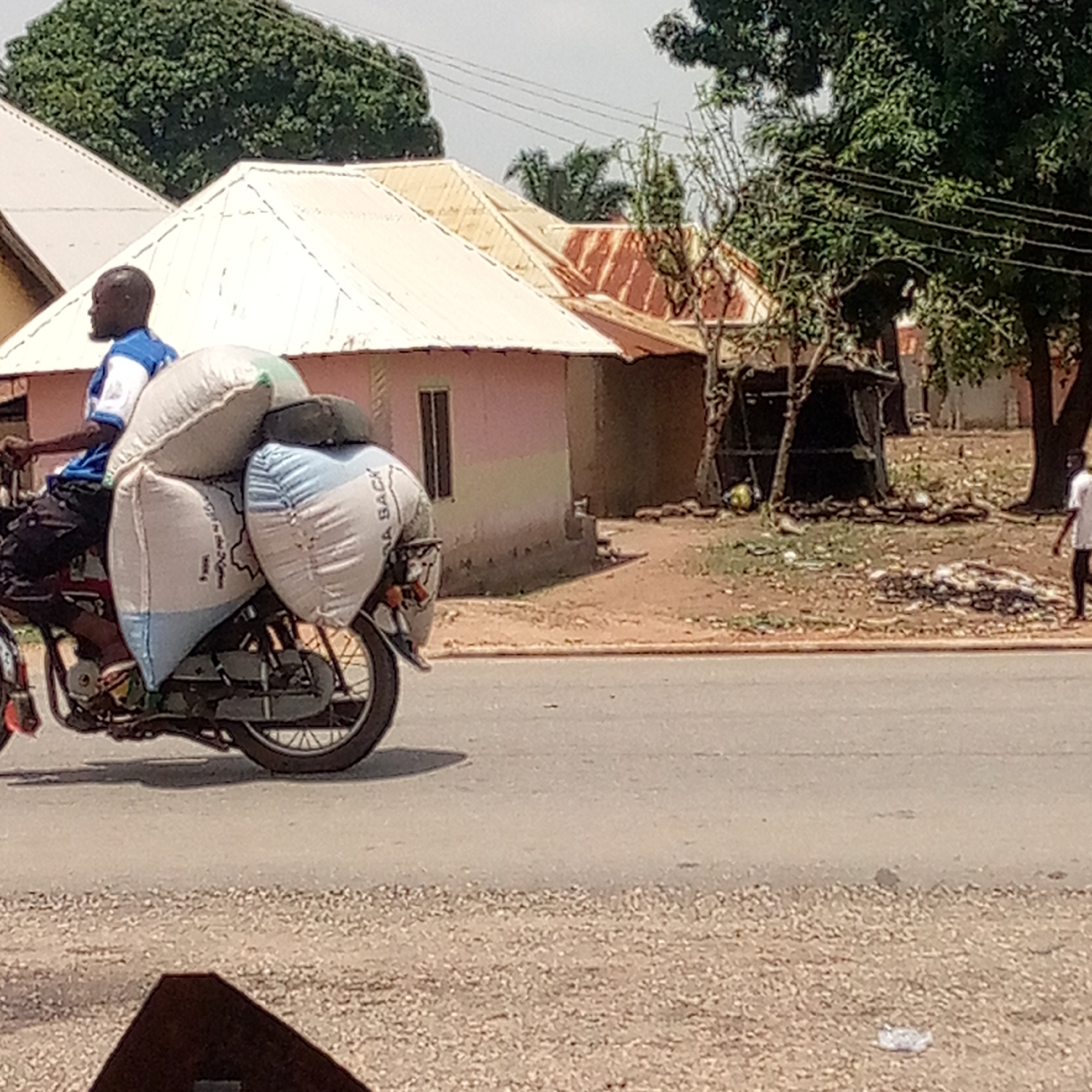 The image depicts a daytime scene in a rural or semi-urban environment. A man is riding a red and black motorcycle from left to right, heavily laden with large, white and light blue sacks. He wears a blue and white shirt. The sacks are tied to the back and sides of the motorcycle, indicating the transport of goods. Visible text on one of the sacks includes "A BACK" and partially "of the Nige..." (suggesting "Nigeria") along with what appears to be a weight, possibly "100 kg".
In the background, several structures are visible, including a light pink house with a rectangular window and a white corrugated metal roof. Adjacent to it are other buildings with similar roofing, some appearing more rustic. A dark, possibly makeshift wooden structure or stall is on the right side of the road, with a yellow-green, melon-like object near its base. Lush green trees are prominent in the background and to the right, while bare branches of smaller trees are also present. Power lines stretch across the sky.
The scene features a paved road in the foreground, transitioning to a dirt and gravel shoulder on the side. Scattered debris and litter are visible on the ground near the buildings. On the far right, a small figure, possibly a child, is seen walking away from the camera. The weather appears sunny with a bright, clear sky.