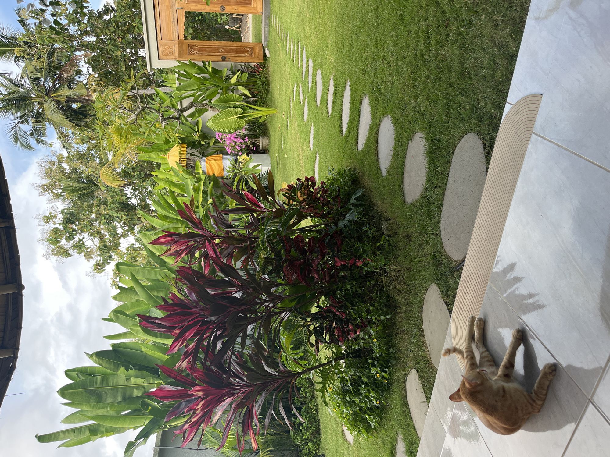 A landscape oriented medium shot depicts an outdoor space, possibly a yard or garden, located in Nusa Penida, Indonesia.
In the foreground, a ginger cat is sprawled on light-colored tiled steps. It is lying on its back, with all four legs extended outward.
A pathway of circular stepping stones leads through a grassy lawn toward a wooden double-door structure in the background. Lush green vegetation lines the path. The plants include banana trees, flowering plants, and other tropical greenery.
The background features various trees and foliage, partially obscuring the sky. The sky is visible with clouds.