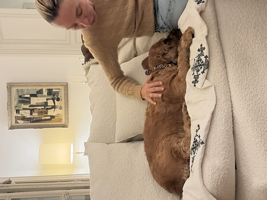 The image captures an indoor scene within what appears to be a residential living area in Paris, France. A light-skinned individual with short, light hair, dressed in a tan cable-knit sweater and blue jeans, is seated on a large, off-white, textured sofa. Their right hand rests on a reddish-brown, curly-haired dog, possibly a Spaniel, which is lying relaxed on the sofa. The dog wears a leopard-print collar adorned with small beads. A white throw blanket with black geometric embroidery is partially visible beneath the dog on the sofa. In the background, a white wall displays a framed abstract painting featuring geometric shapes in muted tones of brown, beige, gray, black, and teal. To the left of the painting, a tall table lamp with a cream-colored cylindrical shade emits ambient light. Ornate white architectural molding is visible on the far left, and a classic white paneled door is partially visible to the right, consistent with Parisian interiors. Two silver-toned candlestick holders with white taper candles are visible on a surface behind the sofa.