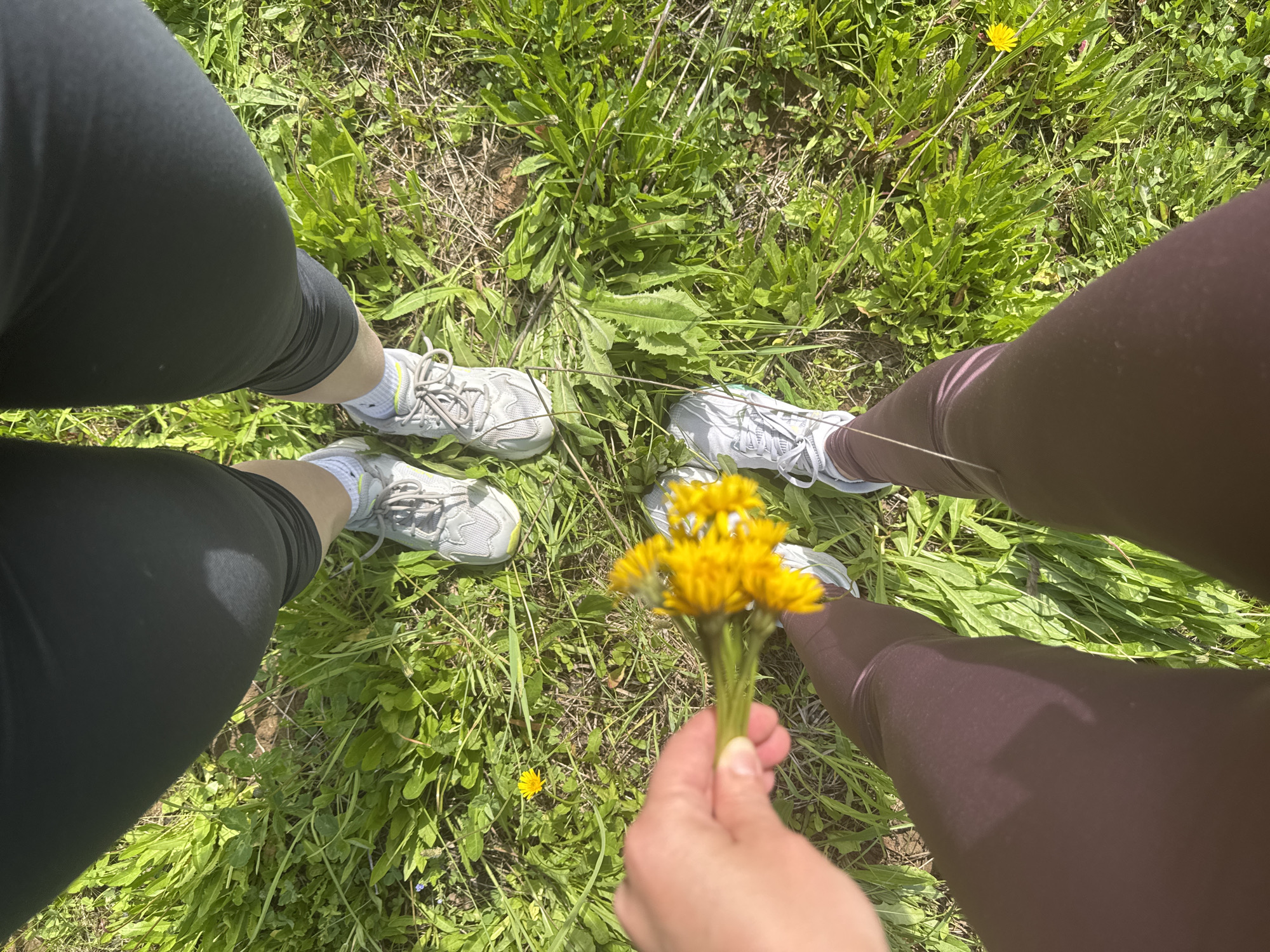 This overhead image captures two individuals standing in a vibrant green, grassy field in Chaikovsky, Russia, on a bright, sunny day. The scene is dominated by lush green foliage and scattered yellow dandelions.
From the waist down, one person wears black leggings and grey and white athletic shoes with light green accents on the laces and soles. The other person wears dark maroon or brown leggings and similar grey and white athletic shoes. Their legs and feet are positioned close together, facing inwards, suggesting they are standing side-by-side or in a small group.
In the foreground, a hand is prominently featured, holding a small, freshly picked bouquet of bright yellow dandelions. More dandelions and various leafy green plants are visible throughout the field. The strong sunlight casts clear shadows, indicating a midday or afternoon setting with favorable weather. The image conveys a simple appreciation for nature and the outdoors, possibly during a walk or leisurely activity in a natural setting. No text is visible in the media file.