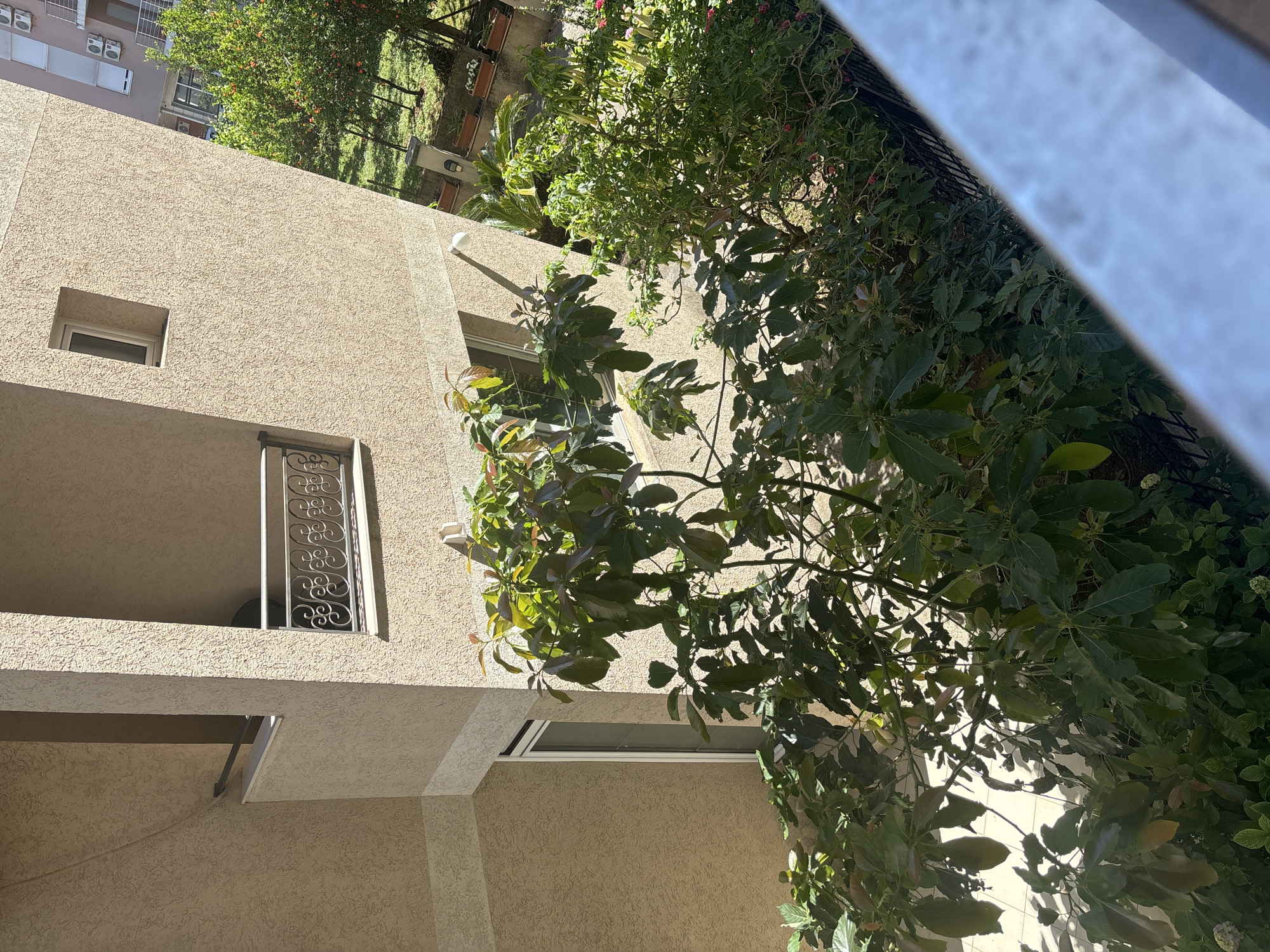 An upward-angled view reveals a beige building exterior and foliage, partially obstructed by a blurred foreground element. The building has small windows, one adorned with decorative metalwork on a balcony. Further back, a glimpse of another building and trees suggests an urban setting. Given the query about the location being Budva, Montenegro, the architectural style and foliage are consistent with the Mediterranean environment, but without additional context, definitive confirmation remains impossible. The overall scene appears to be taken from a low vantage point, possibly a balcony or courtyard.