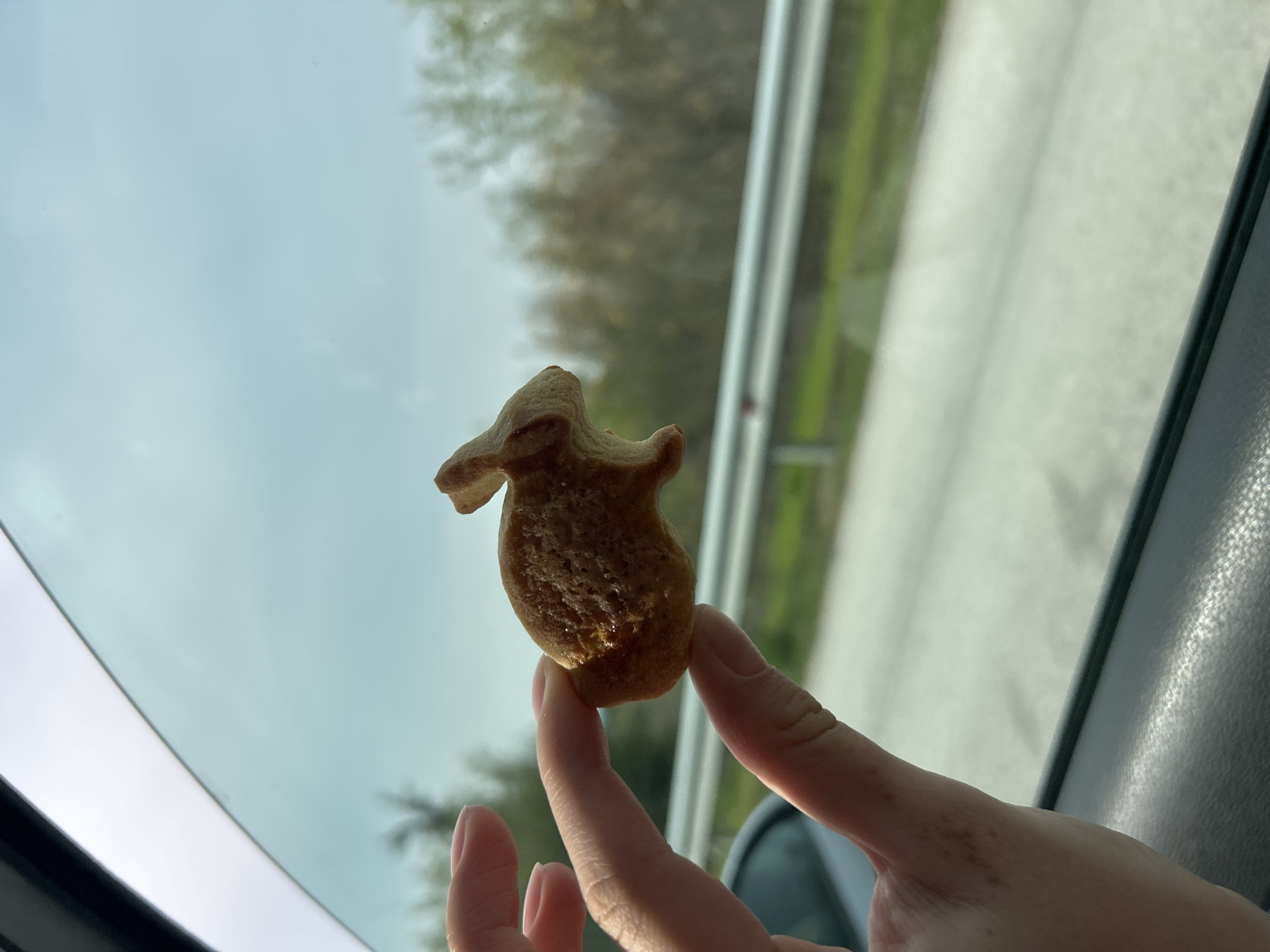 A person holds a brown, animal-shaped cookie in their right hand. The cookie is lit from behind by sunlight. The person is inside a vehicle. The car window is visible, showing a blurred landscape with trees and a road outside. The location is suggested by the prompt as being in or around Церово, Bulgaria, but there is no visual confirmation of the specific location within the image.