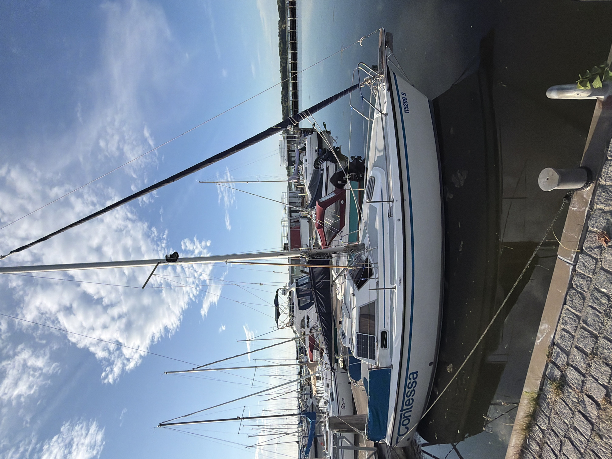 The image shows a marina in Ribnitz-Damgarten, Germany. The focus is on a white sailboat named "Contessa" docked at the marina. The boat has a blue stripe along its hull and a registration number "115209 S". Other sailboats and a larger motorboat are visible in the background, as well as a pier and buildings on the shore. The sky is blue with white clouds, and the water is calm, reflecting the boats and the sky. The foreground shows a cobblestone walkway and mooring bollards. There are no people visible in the image.