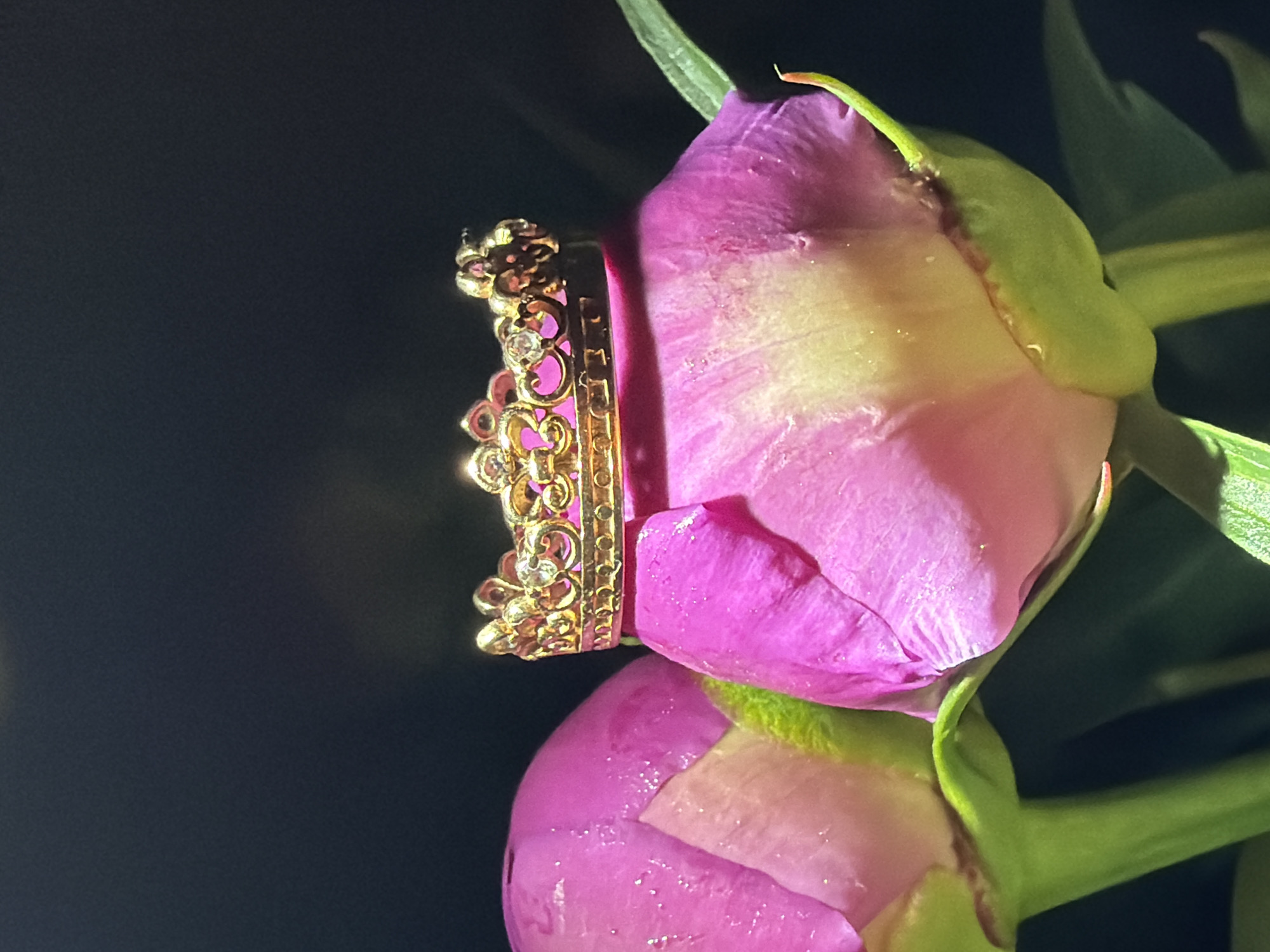 A close-up photograph shows a gold-colored ring with a crown-like design placed on a closed peony flower. The peony is pink and yellow-white with green leafy stems and sits against a dark, blurry background. The ring is intricate with jewel-like embedded details and filigree designs. The flower's petals are tightly wrapped, suggesting it is not yet in full bloom. The light source appears to be above and to the right, causing a distinct shadow on the dark background. The peony and ring are the central focus. The location is not identified.