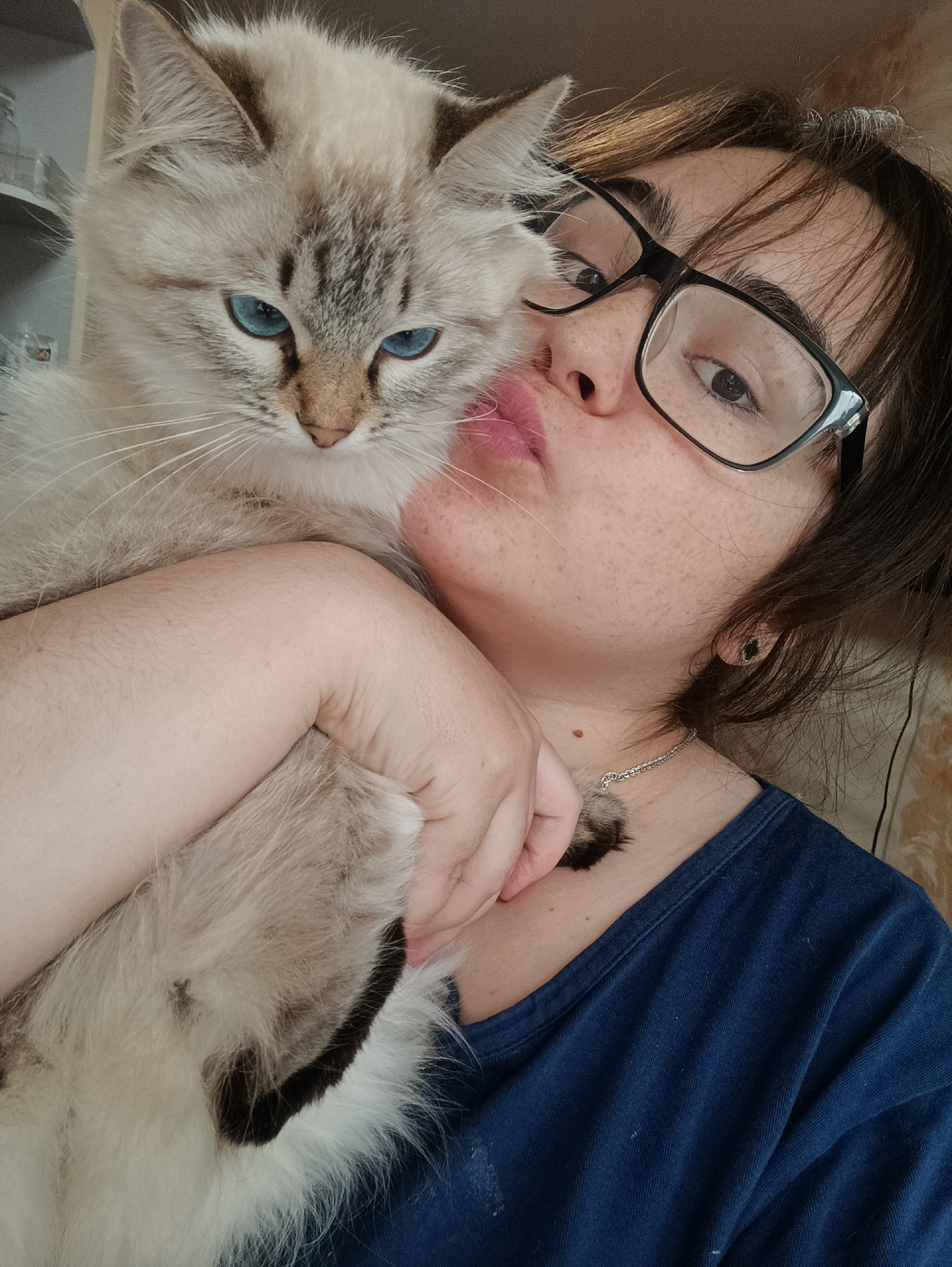 A close-up, informal portrait captures a person holding a cat in an indoor setting in Noviy, Russia. The image is taken from a slightly upward angle, likely a selfie.
The primary subjects are a woman and her cat. The woman has dark hair and is wearing dark-rimmed glasses. She has visible freckles on her face and is seen making a "kissing" face with pursed lips towards the cat. She wears a dark blue t-shirt and a silver chain necklace with a small, dark, possibly furry pendant, or it could be a tuft of the cat's fur. A black earring is visible in her right ear. Her arm is wrapped around the cat, holding it close.
The cat is a striking breed with light, creamy-beige fur and darker brown/grey tabby markings on its face, ears, and paws, indicative of a pointed breed like a Ragdoll or Himalayan. Its most notable feature is its piercing blue eyes. Long white whiskers extend from its muzzle. The cat appears calm, looking slightly downwards and away from the camera. Part of its dark fur, likely from a leg or tail, is visible near the woman's shoulder.
The background is softly blurred, showing hints of shelving or a cabinet on the left and a warm-toned wall or curtain on the right, confirming an indoor location. The lighting suggests daytime. The overall mood is affectionate, depicting a tender moment between the woman and her feline companion. There is no visible text in the image.
