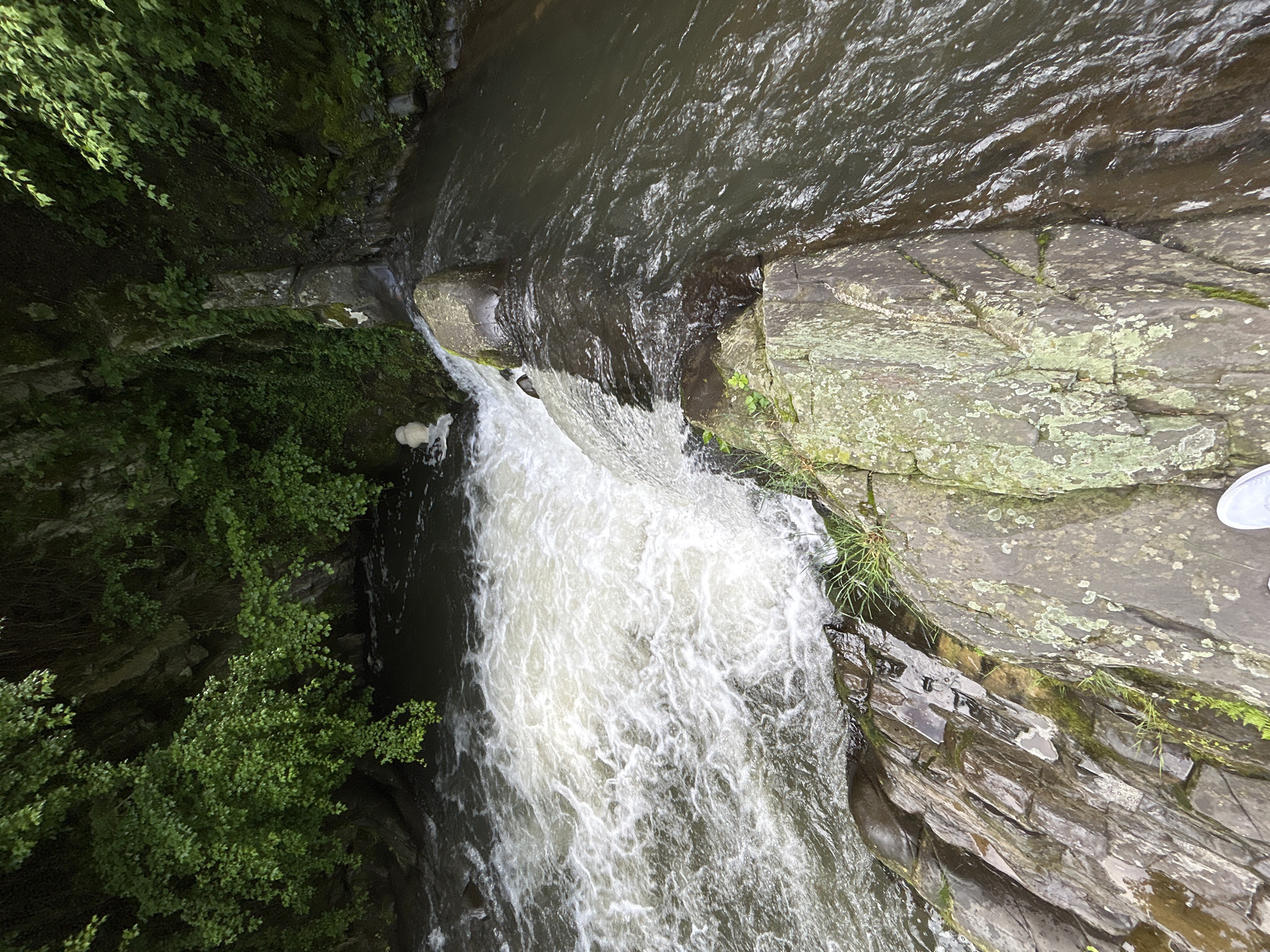 The image depicts a waterfall viewed from above. The water flows from a dark, still pool over a rocky edge and plunges downwards, creating a white, foamy cascade. The surrounding environment is characterized by moss-covered rocks and lush green vegetation, with trees and bushes clinging to the adjacent cliffs. A portion of a person's shoe is visible in the upper right corner of the image. The location of the waterfall is in the city of Unknown, Unknown.