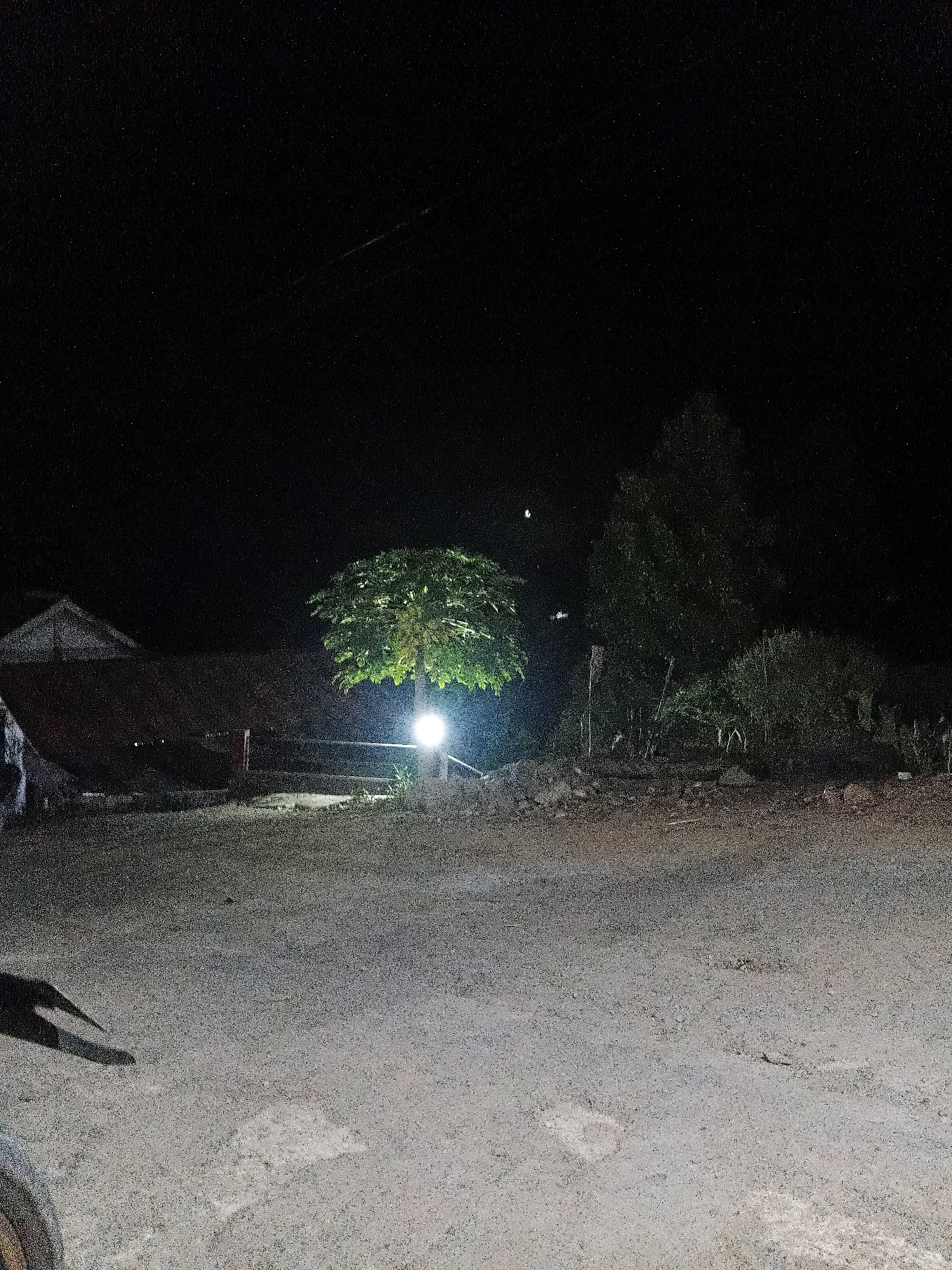 The image captures a nighttime scene in Sinduaji, Indonesia. A single, mature tree stands illuminated by a bright light at its base, casting a warm glow on its dense foliage and the surrounding dark environment. To the left, the indistinct outline of a structure with a sloped roof is visible. The ground in the foreground appears to be unpaved, with a rough texture. The background is dominated by darkness, with hints of other vegetation and structures further back. The overall impression is one of a rural or semi-rural setting at night, with artificial light providing a focal point.